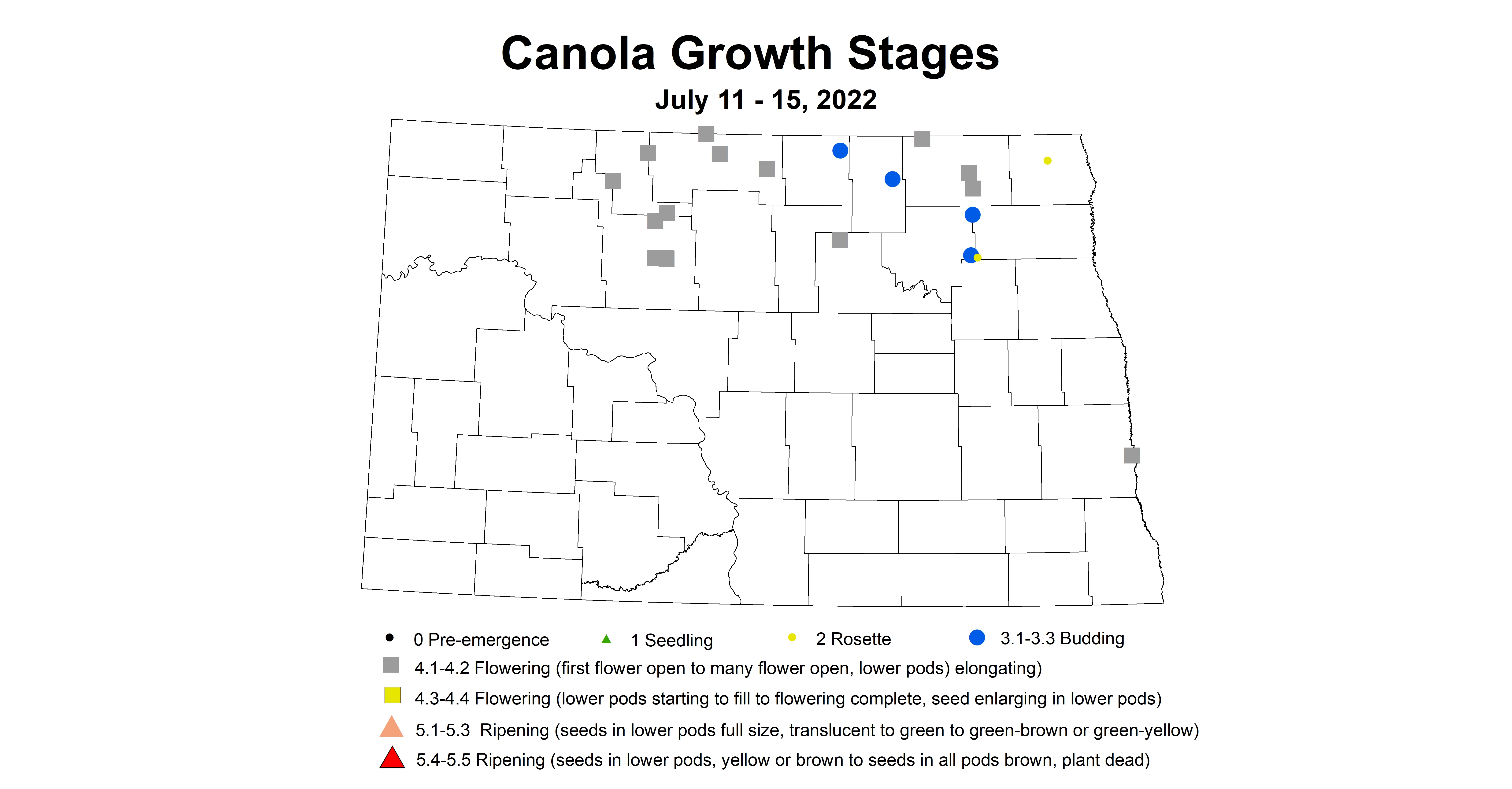 canola growth stages 2022 7.11-7.15