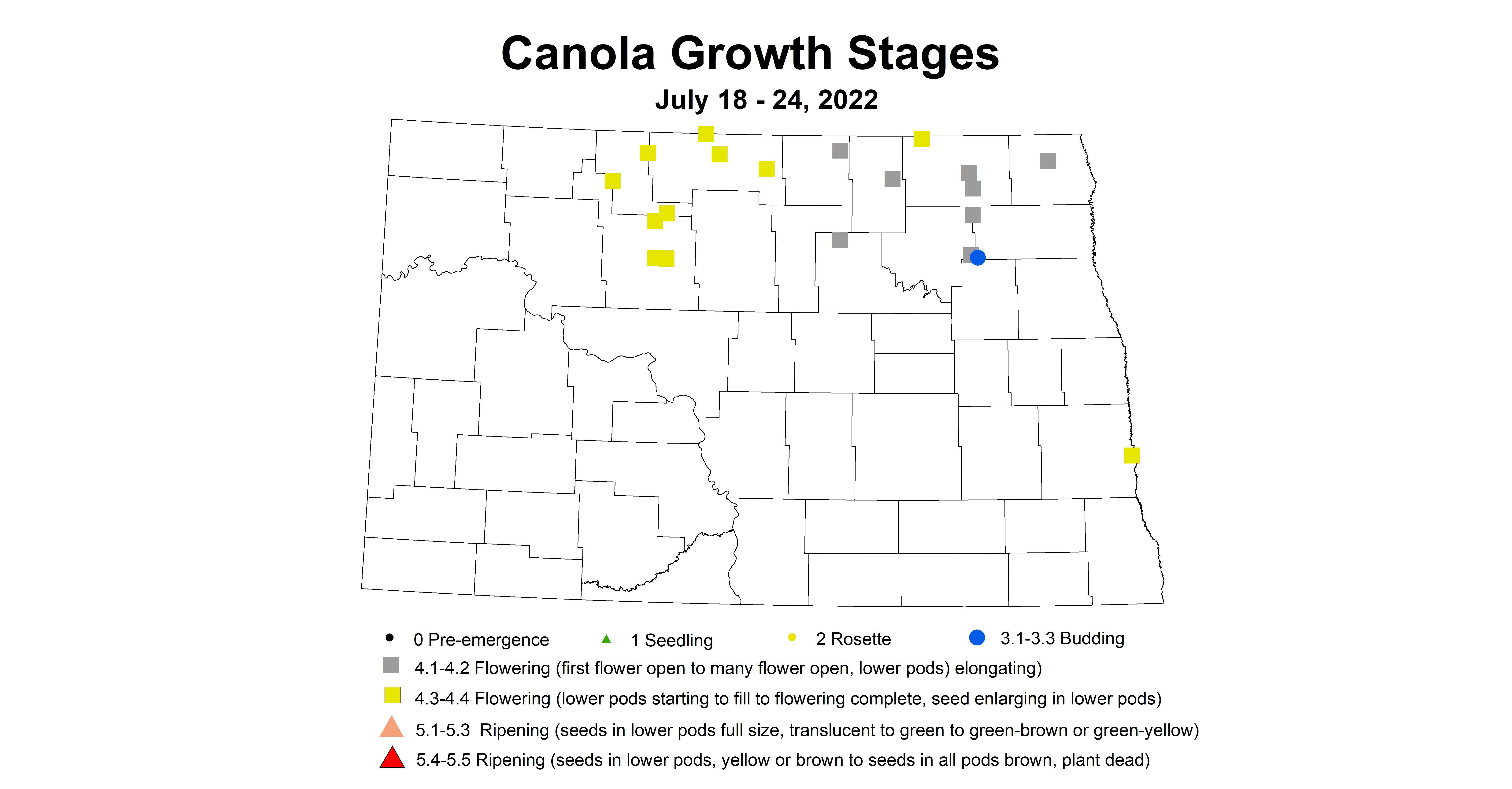 canola growth stages 2022 7.18-7.24