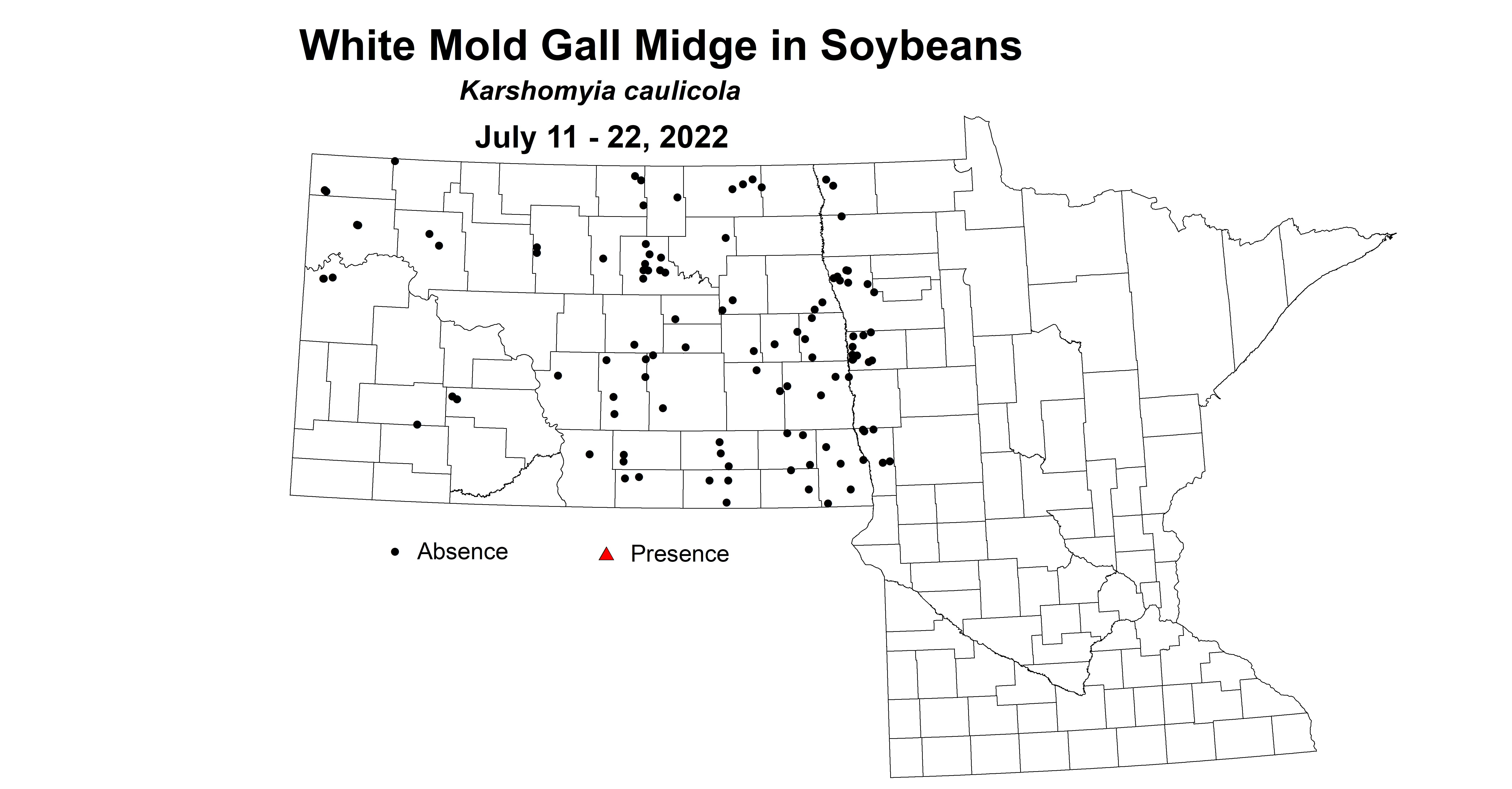 soybean gall midge presence 2022 7.11-7.22