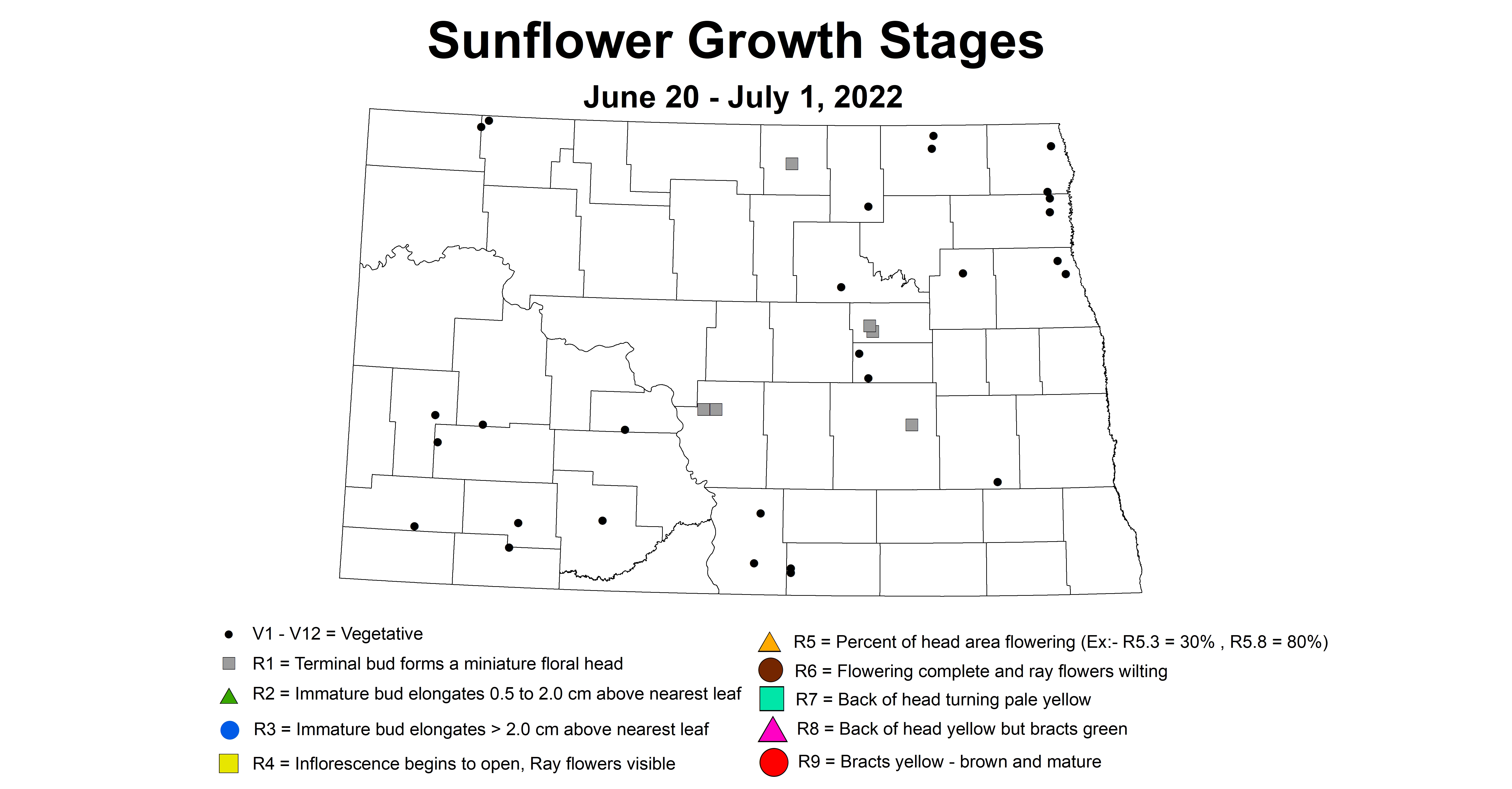 ND IPM map of sunflower growth stages June 20 to July 1 2022