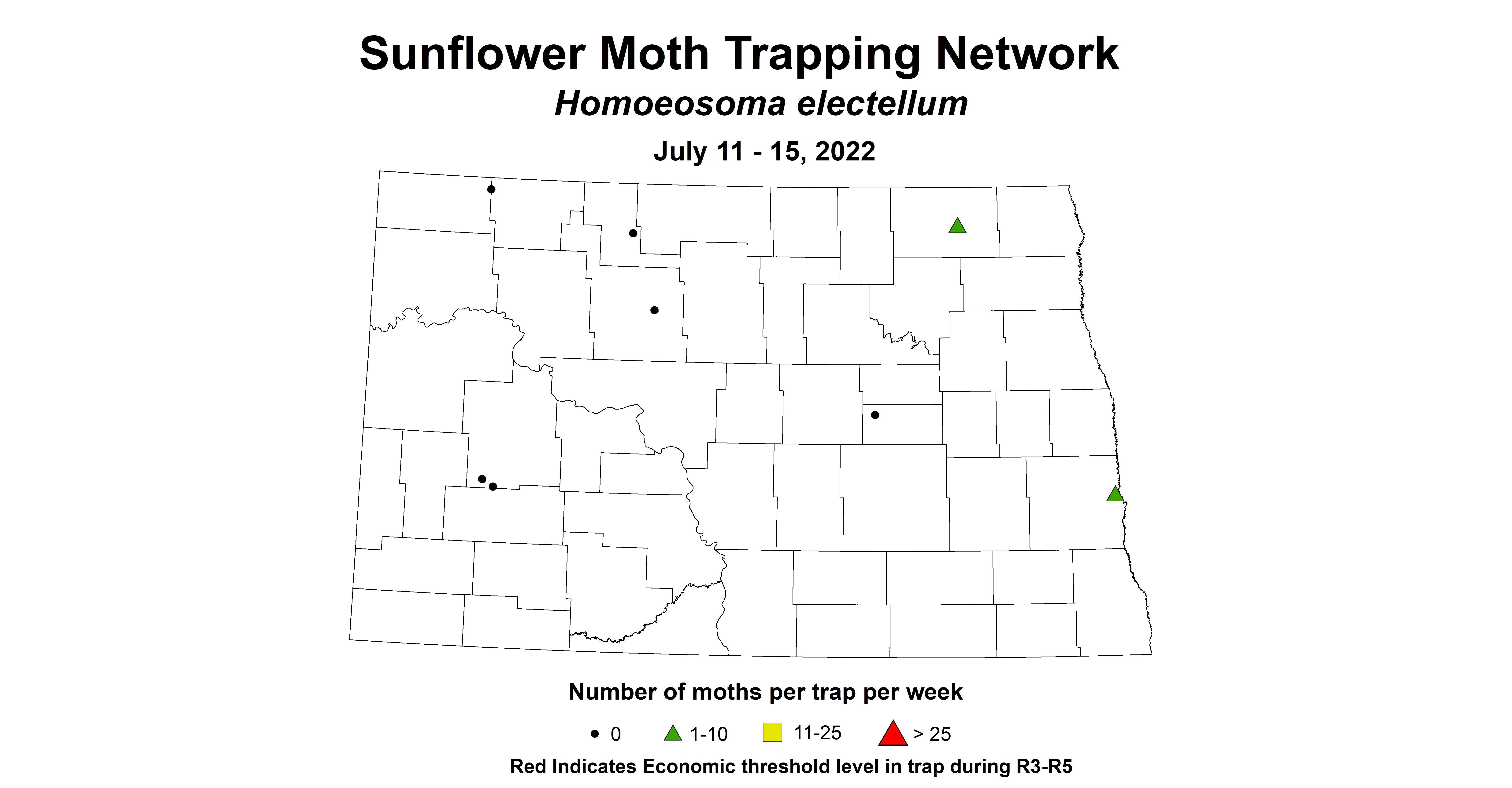 sunflower moth 2022 7.11-7.15