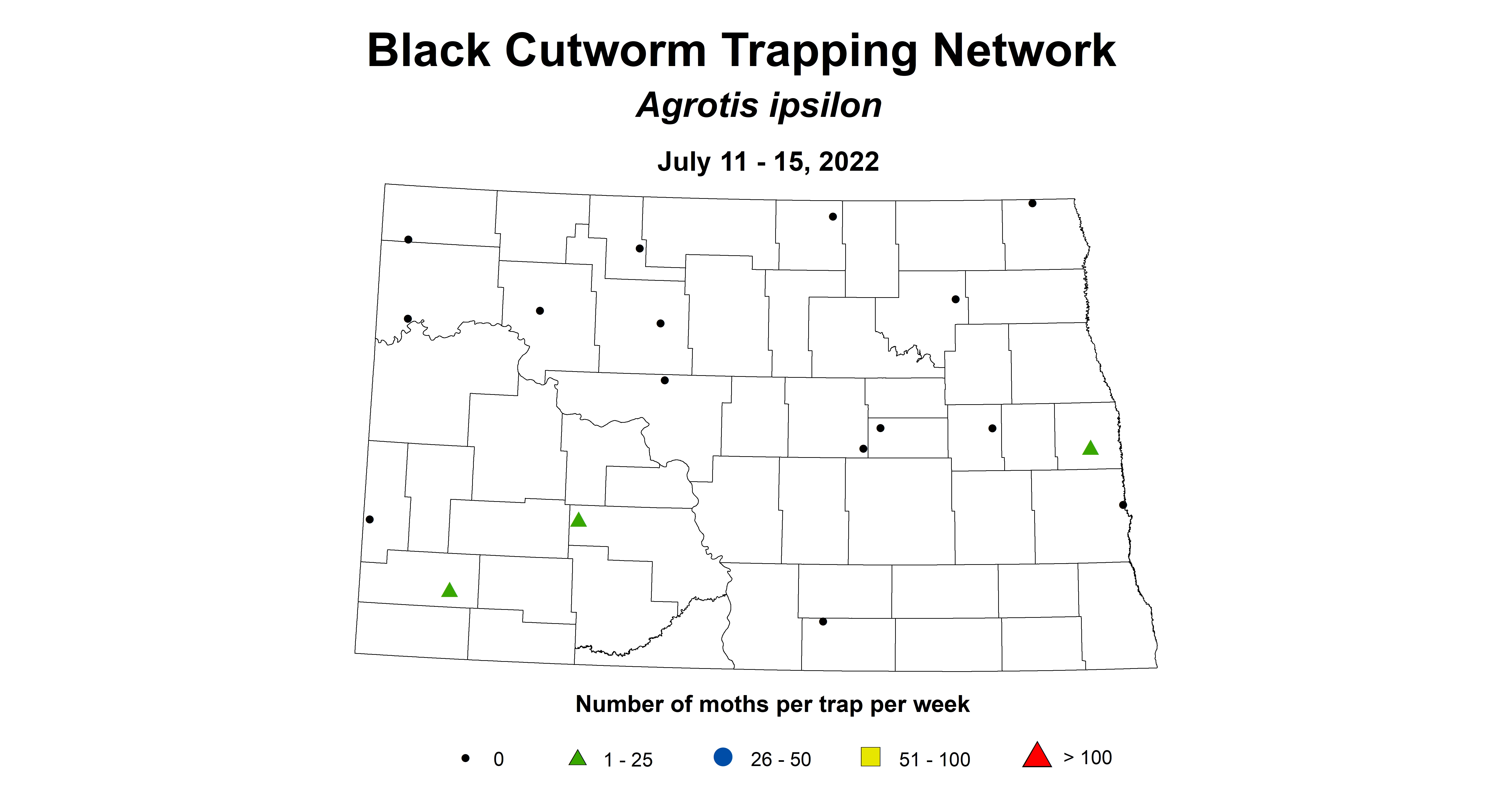 wheat black cutworm 2022 7.11-7.15