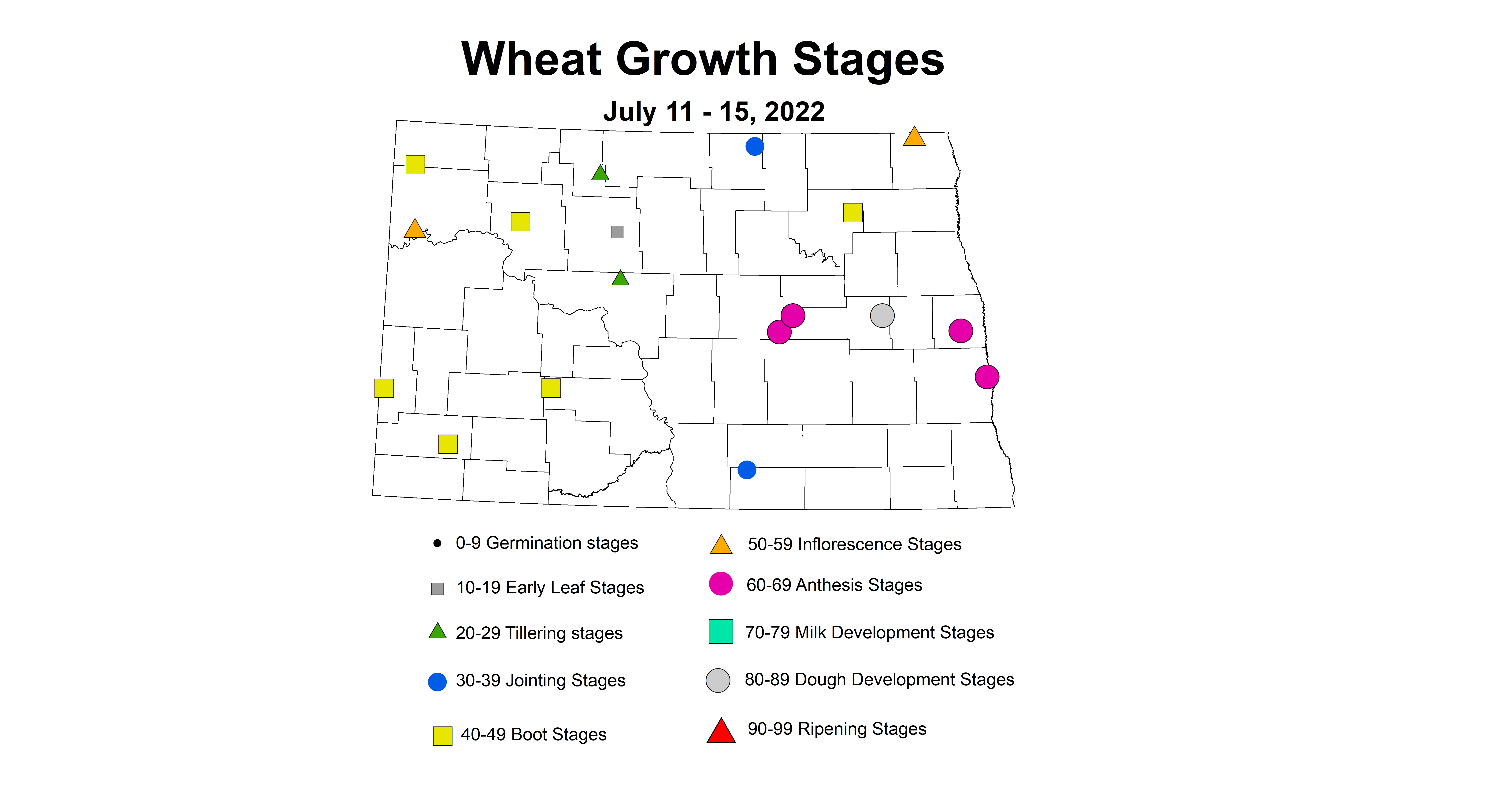 wheat growth stages 2022 7.11-7.15