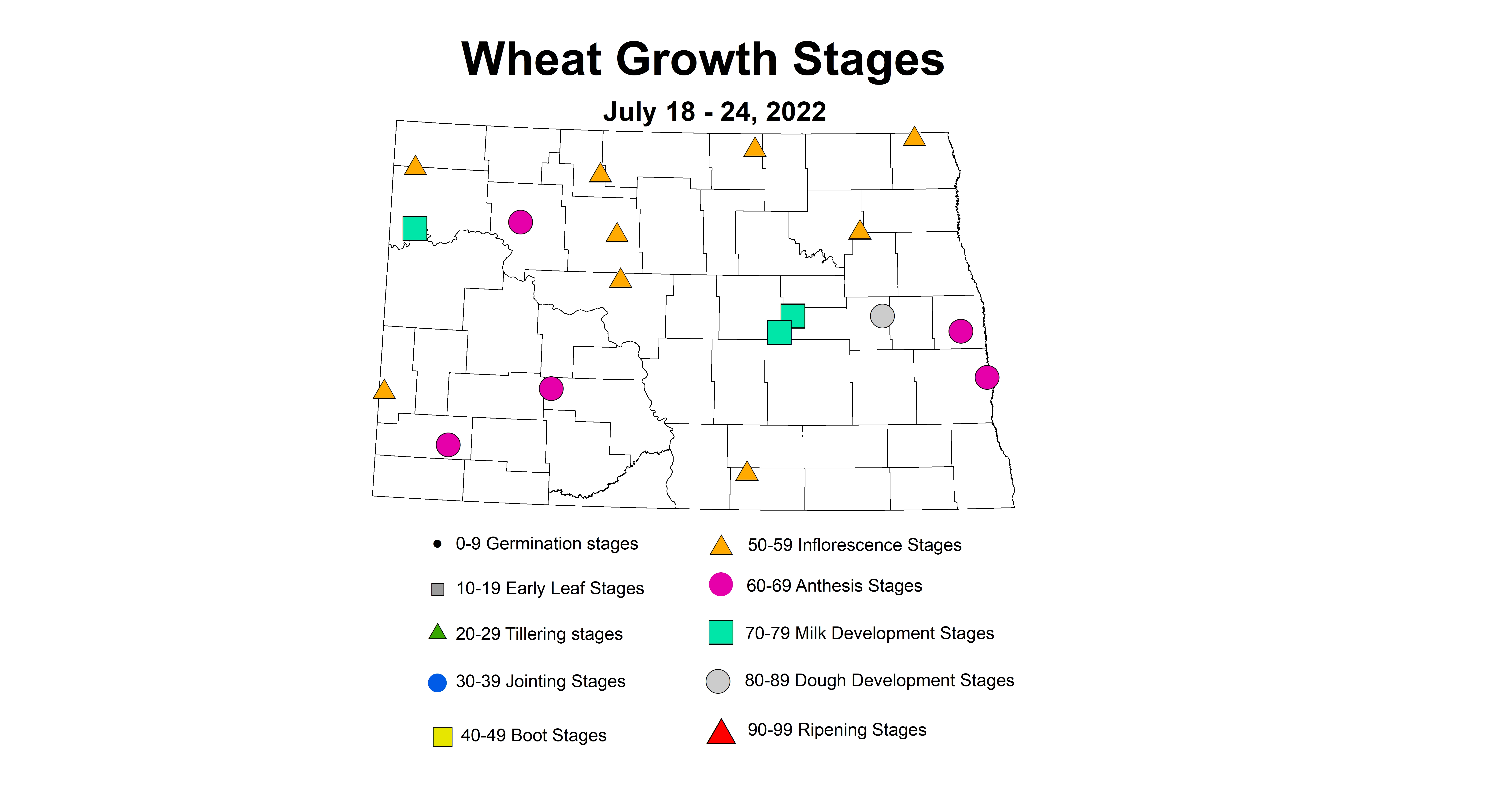wheat growth stages 2022 7.18-7.24