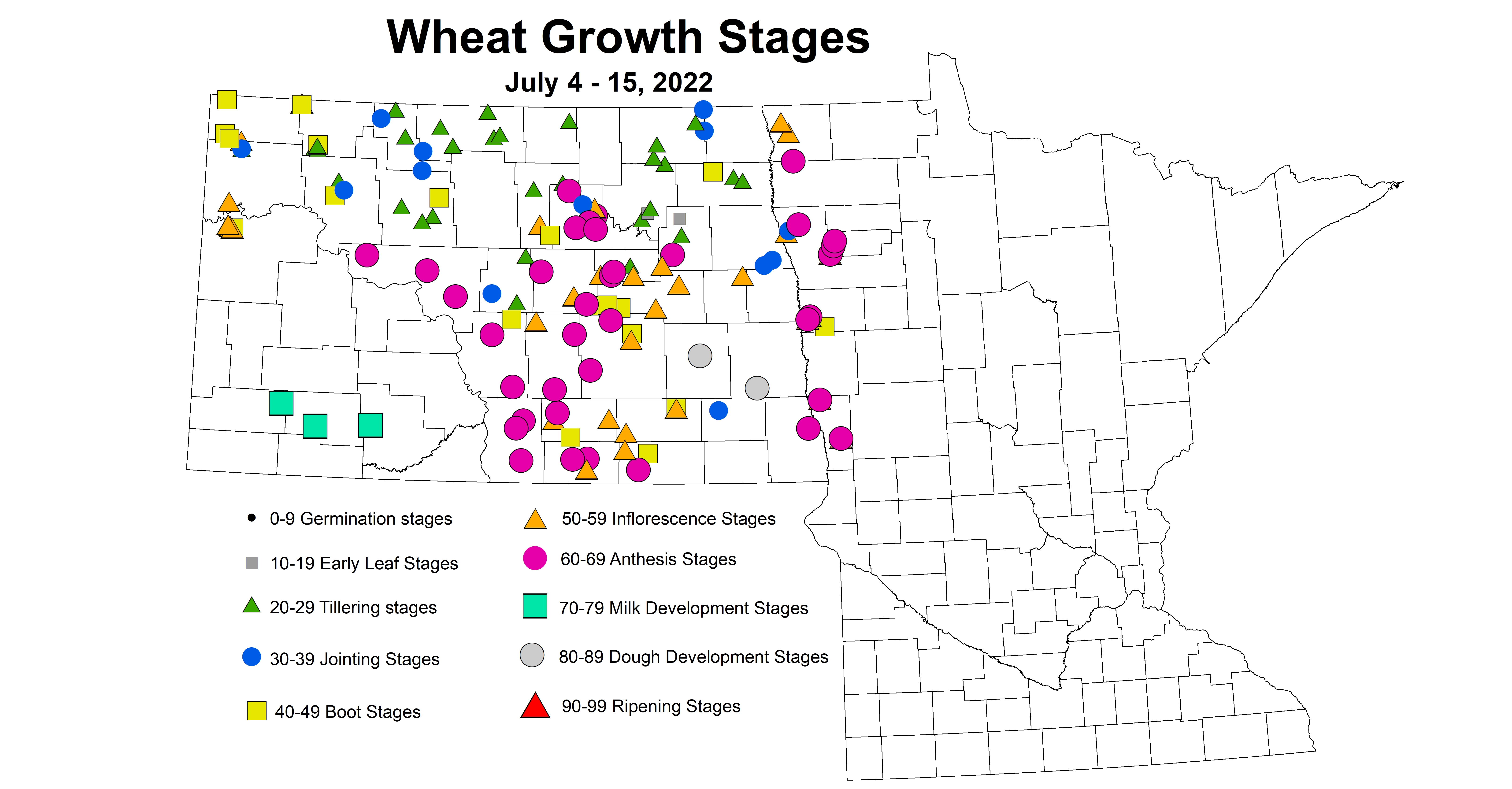 wheat growth stages 2022 7.4-7.15