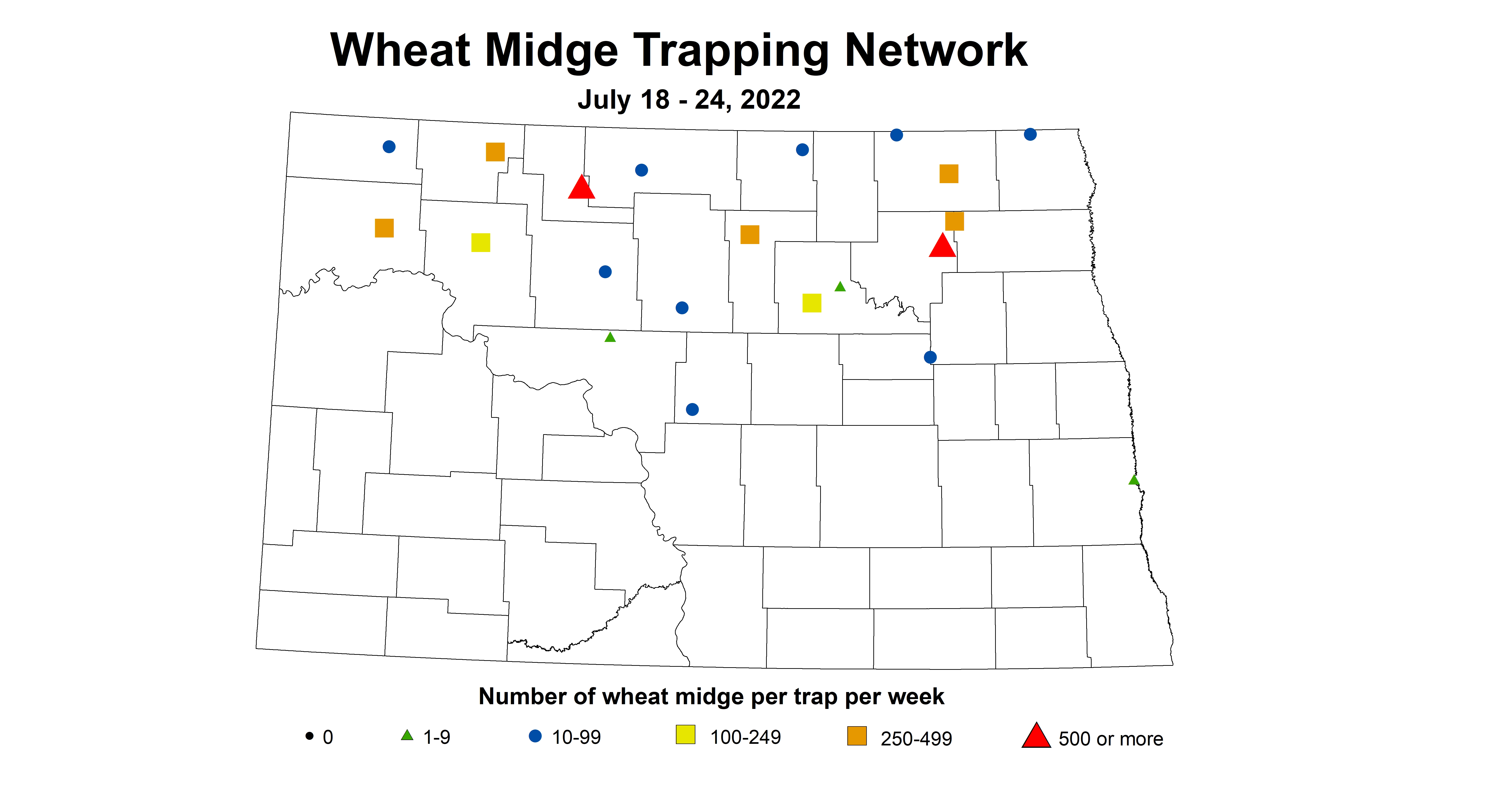 wheat midge 2022 7.18-7.24