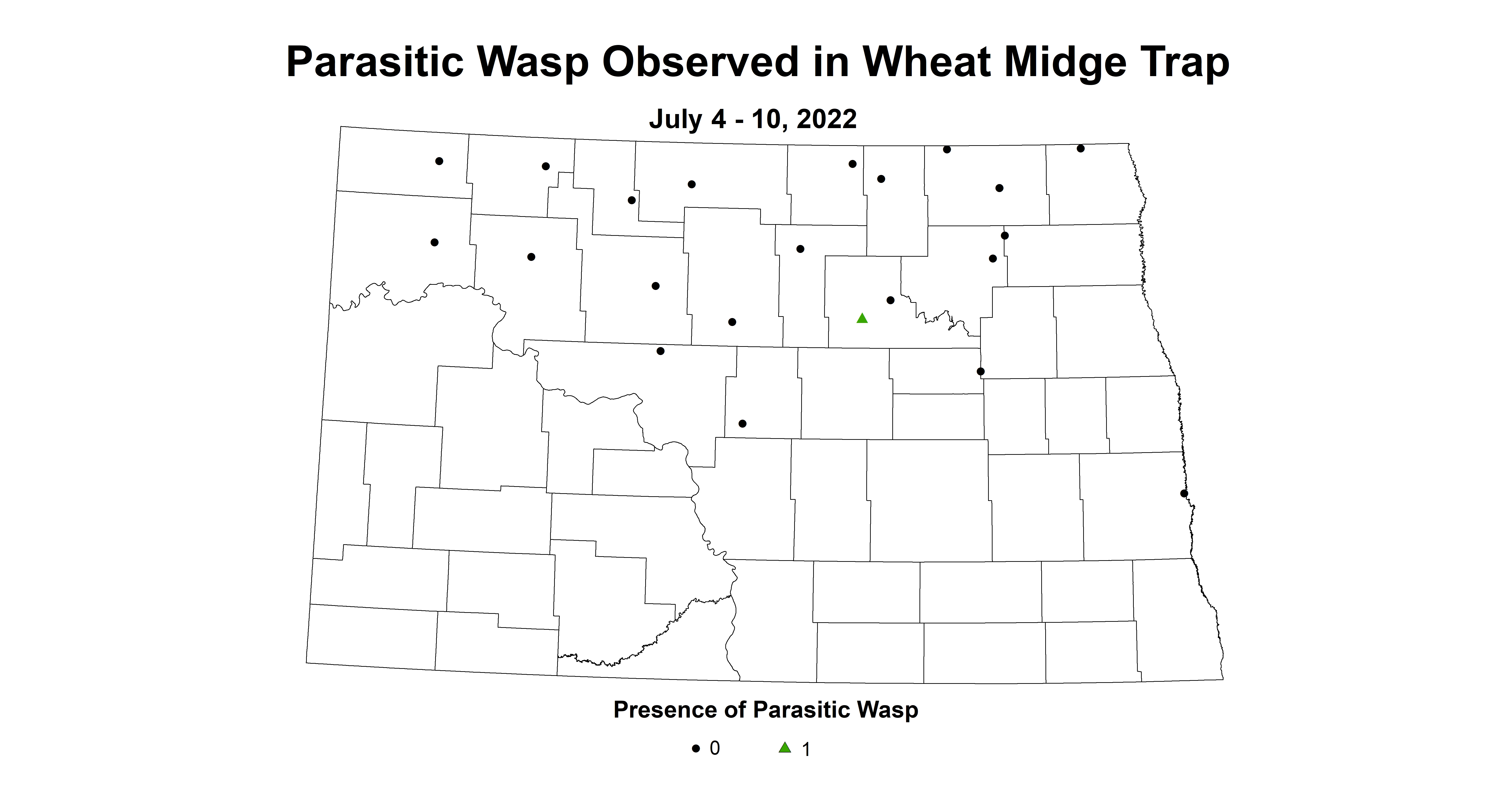 wheat midge parasitic wasp 2022 7.4-7.10