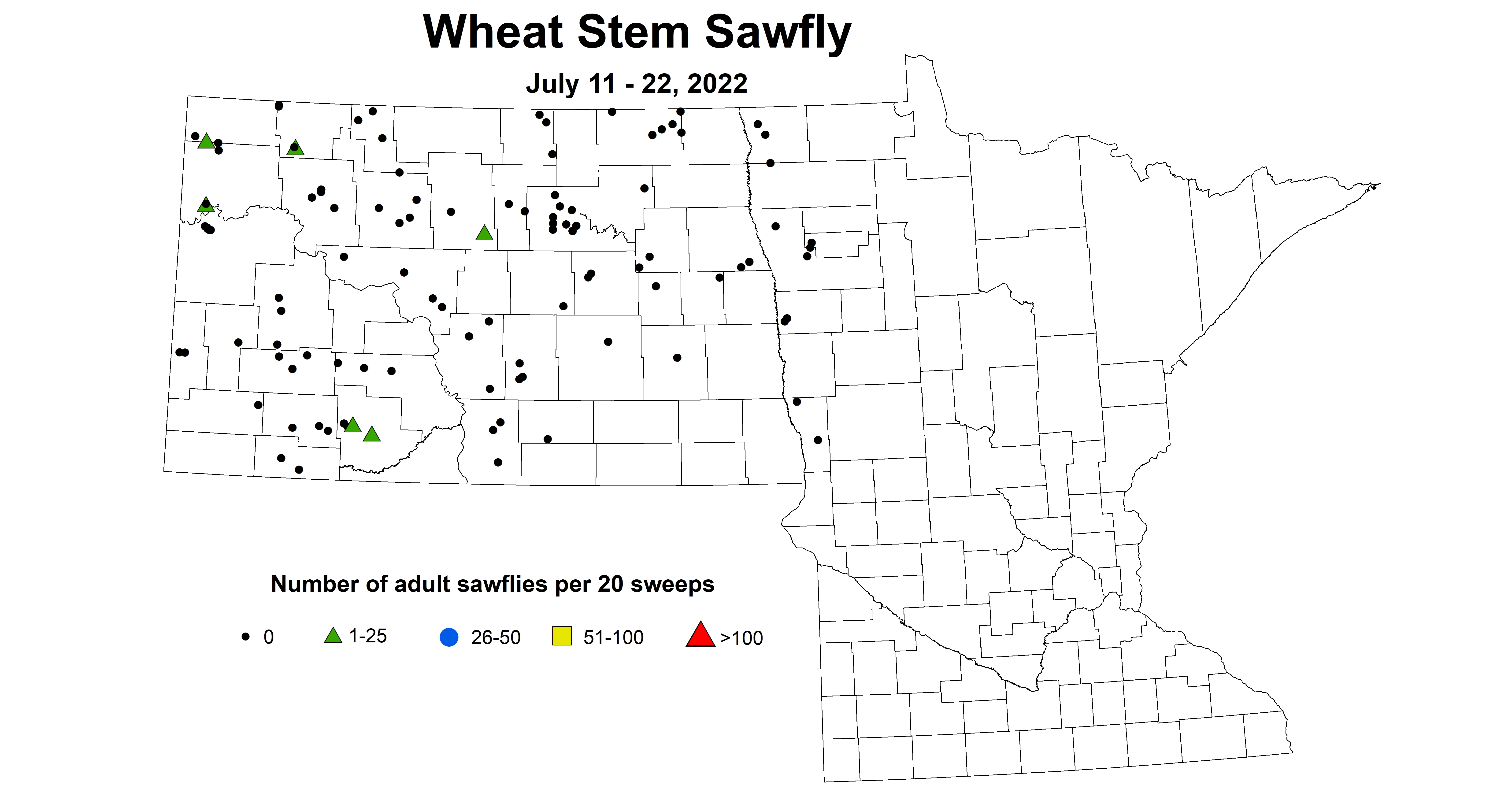 wheat sawfly 2022 7.11-7.22