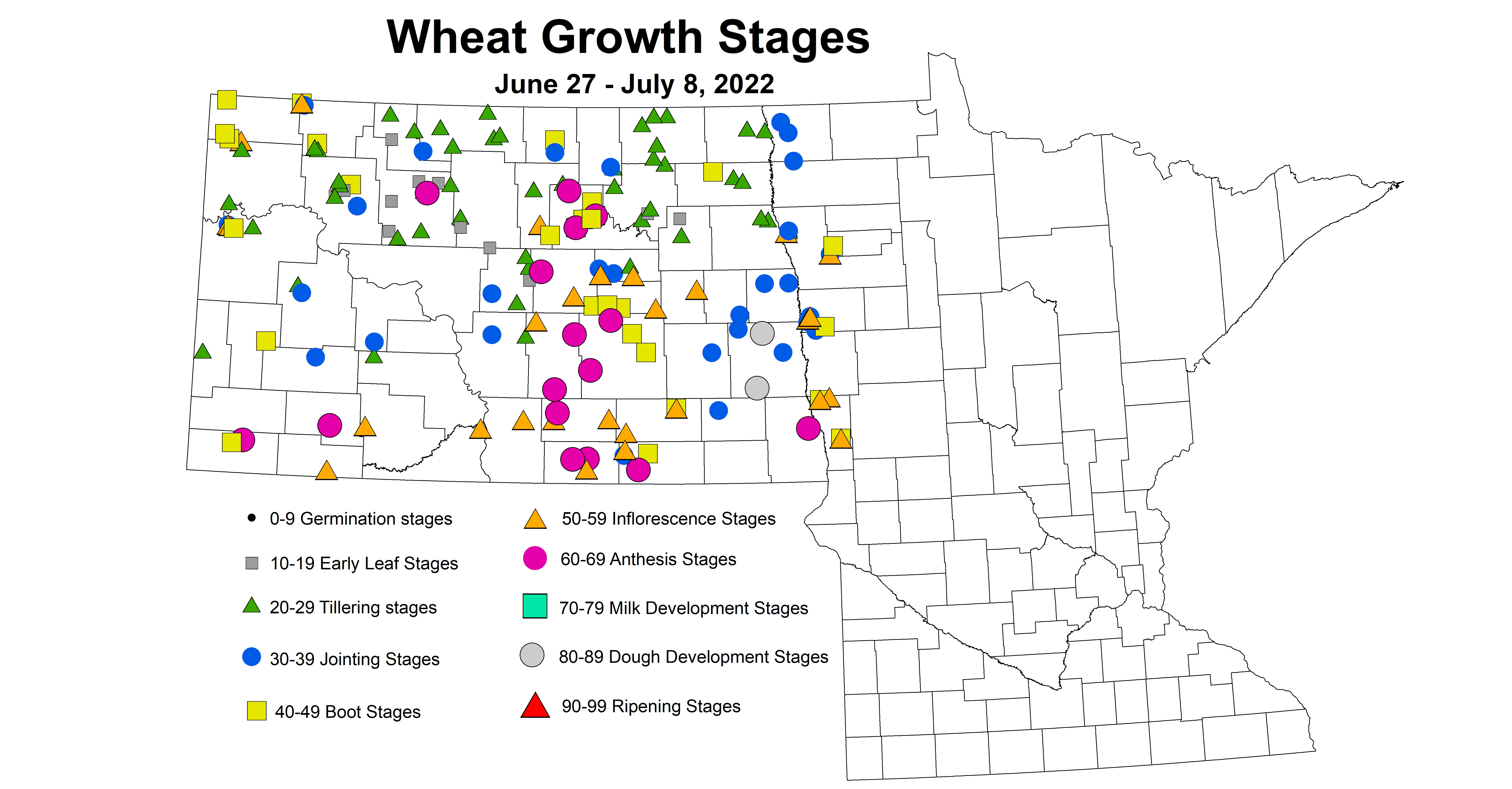 ND IPM map of wheat growth stages June 27 to July 8, 2022