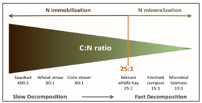 Carbon-to-nitrogen Ratios