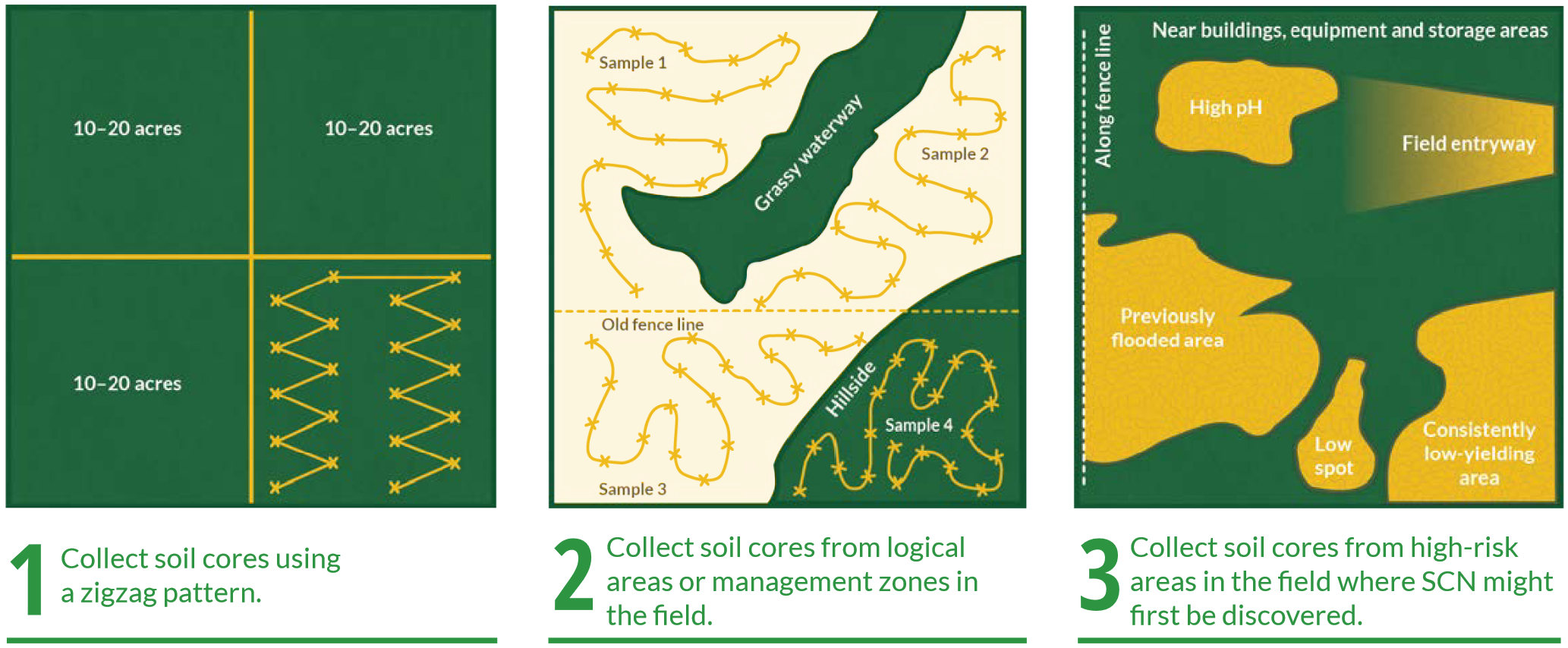 Three strategies for sampling for Soybean Cyst Nematode (SCN): 1. Collect soil cores using a zigzag pattern. 2. Collect soil cores from logical areas or management zones. 3. Collect soil cores from high-risk areas in the field where SCN might be first discovered.