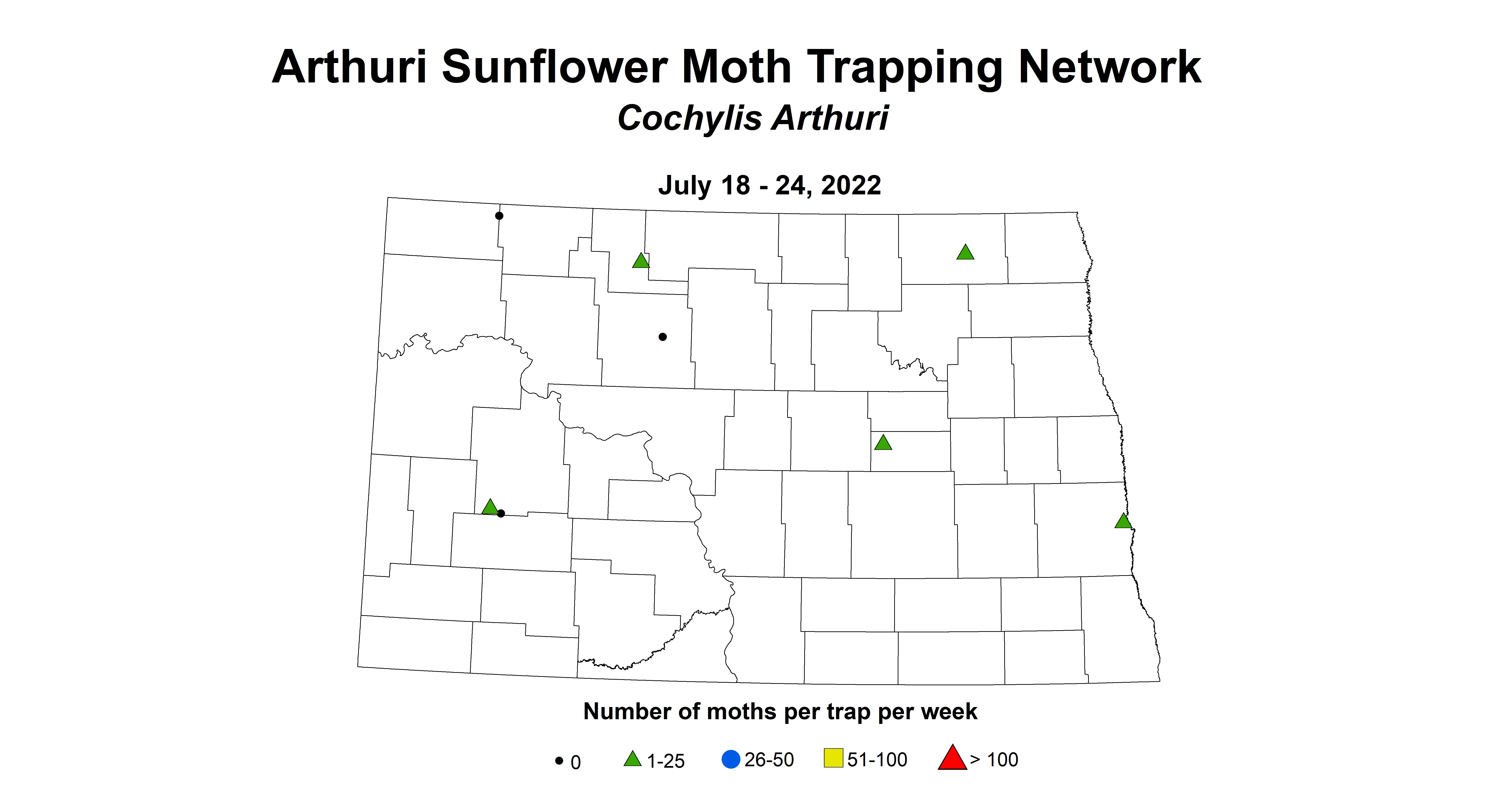 arthuri sunflower moth 2022 7.18-7.24 corrected.jpg