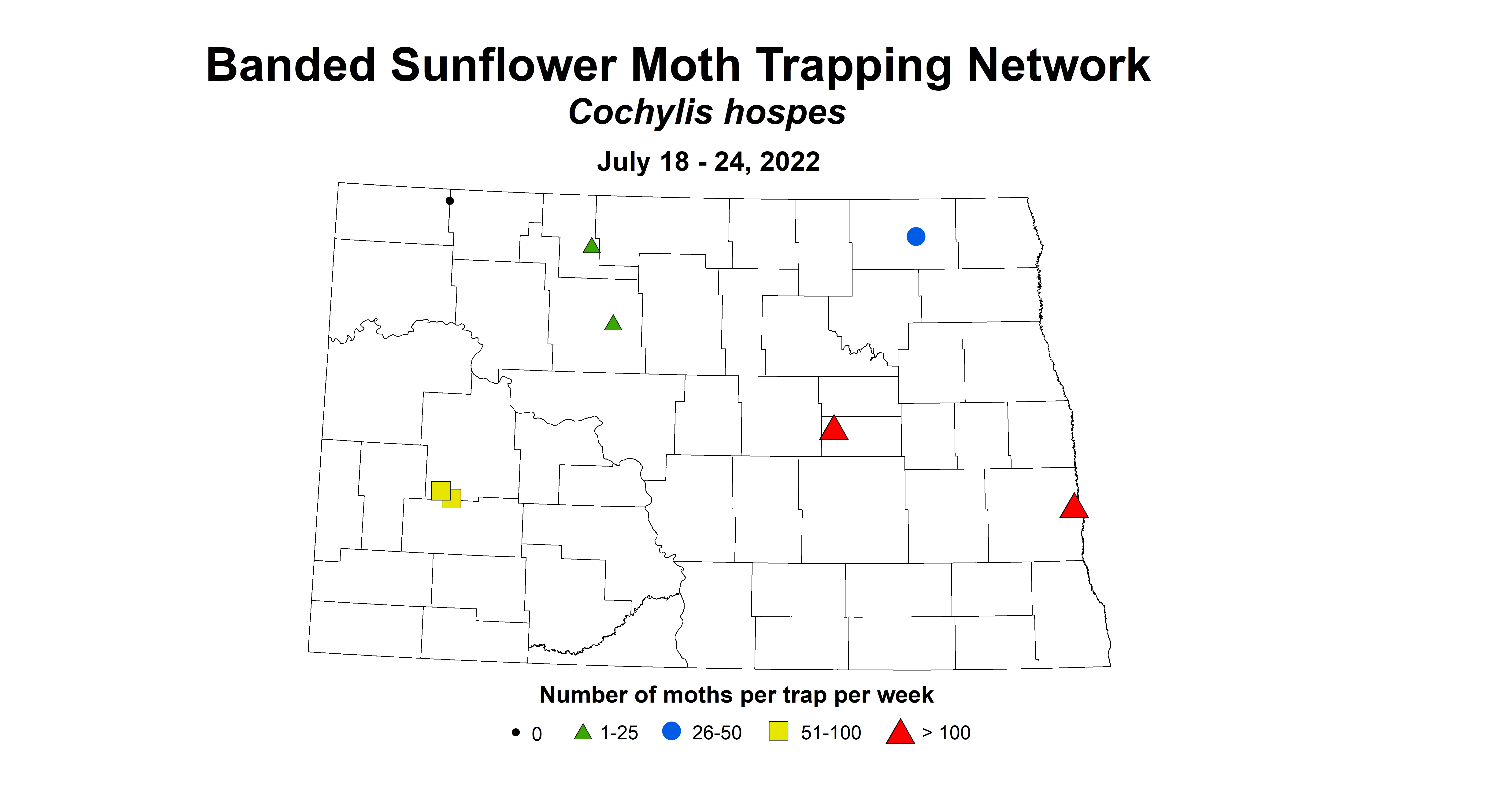 banded sunflower moth 2022 7.18-7.24 corrected.jpg