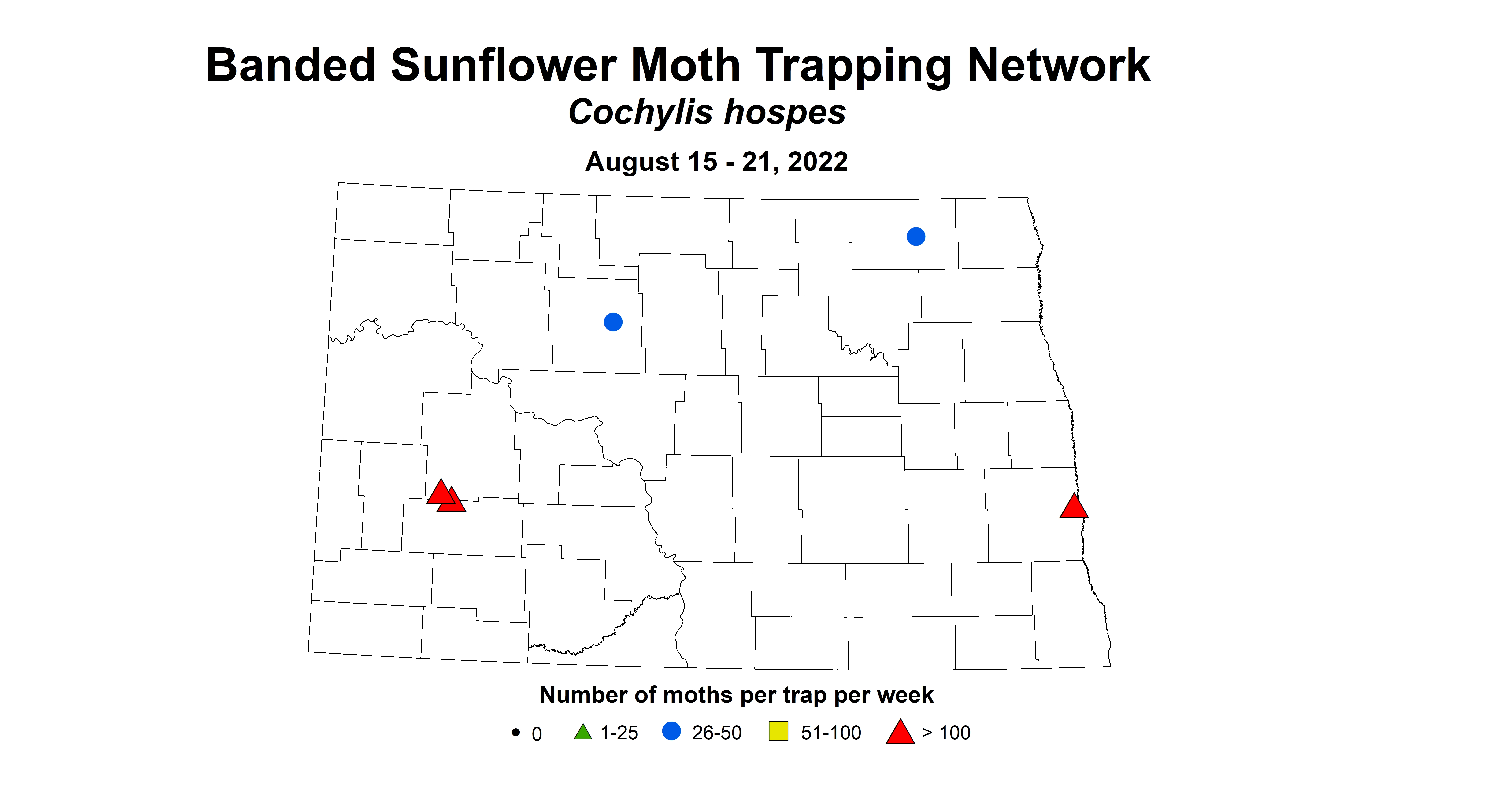 banded sunflower moth 2022 8.15-8.21.jpg