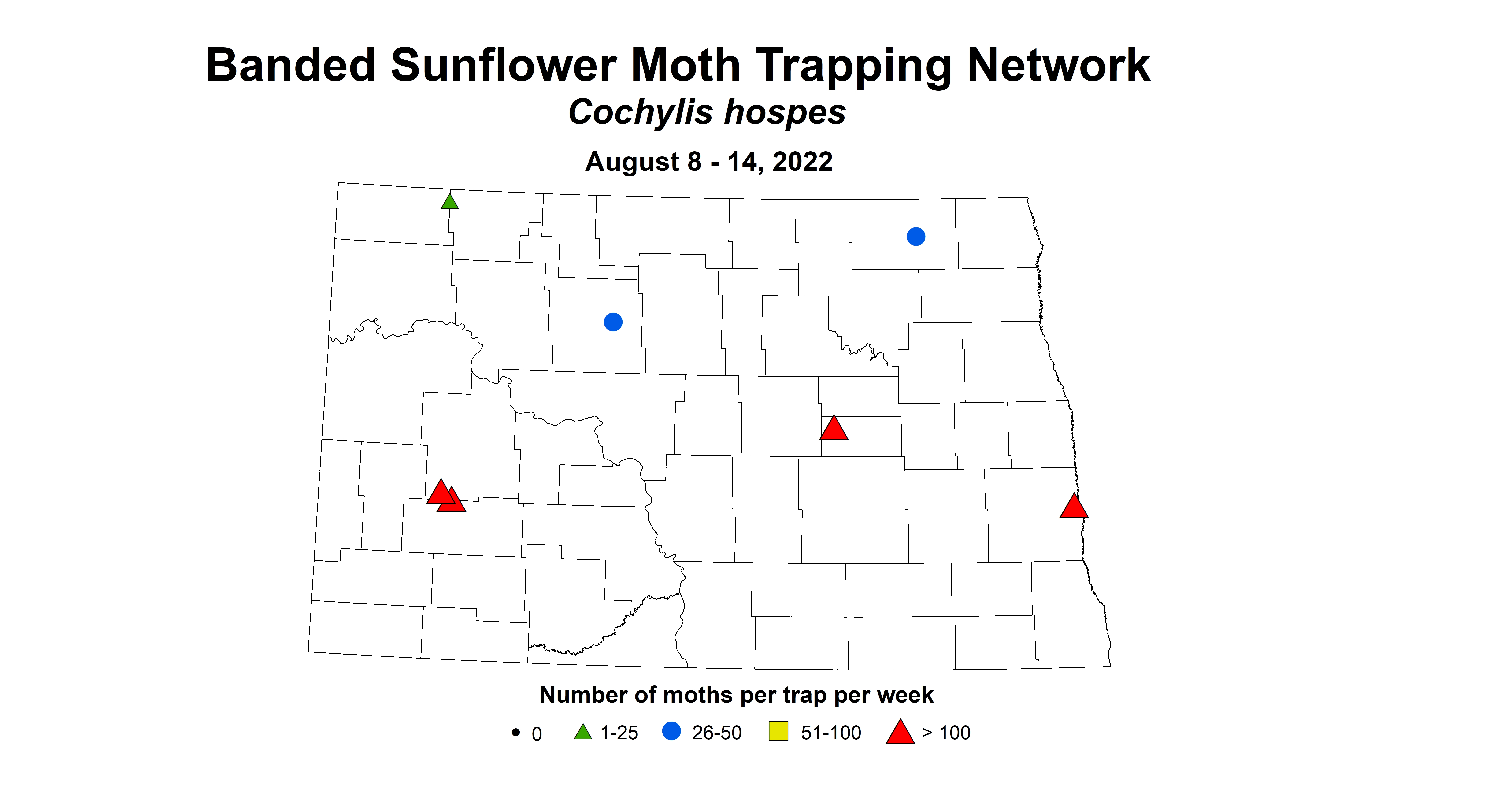 banded sunflower moth 2022 8.8-8.14
