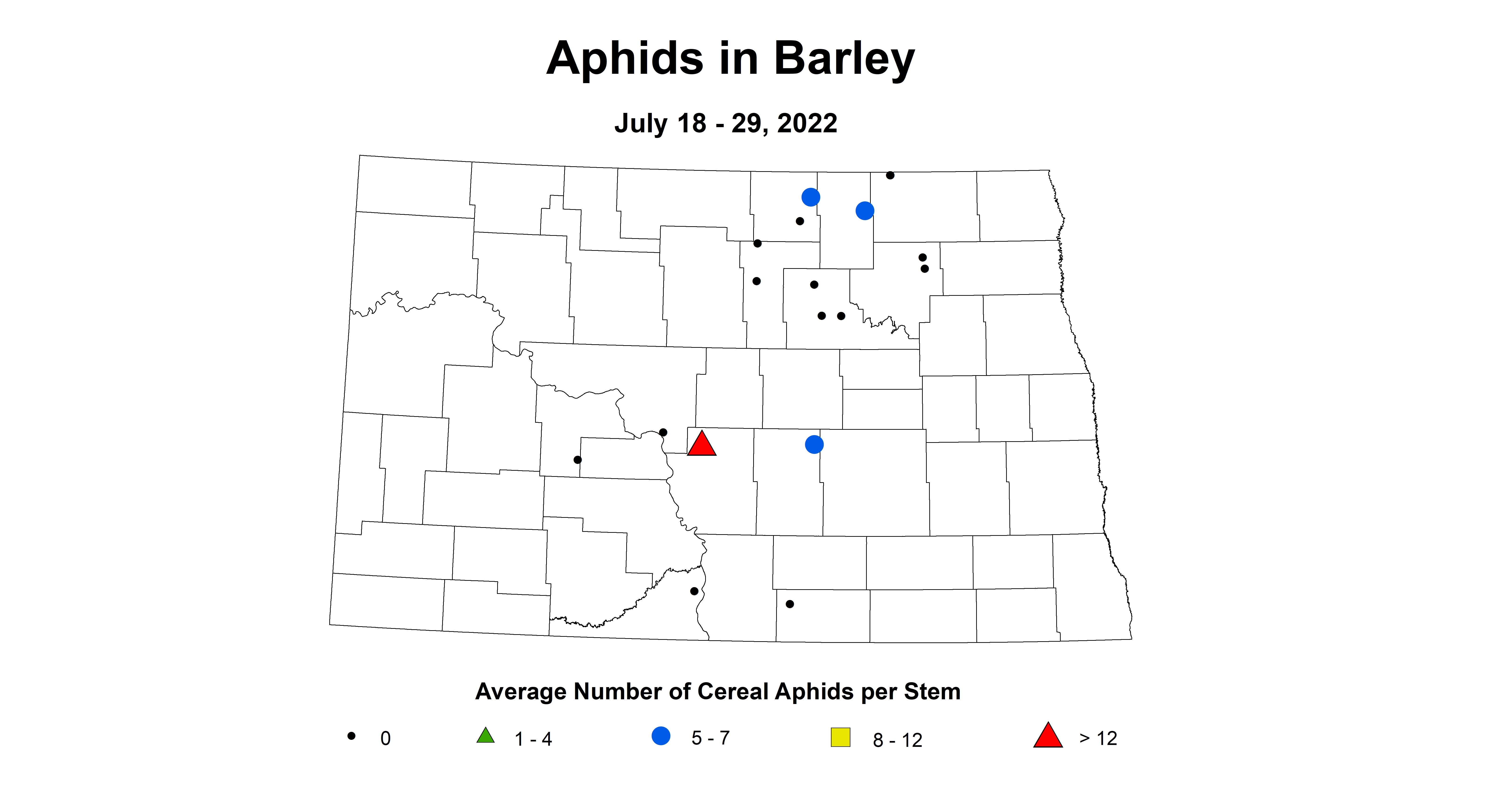 barley aphid 2022 7.18-7.29.jpg