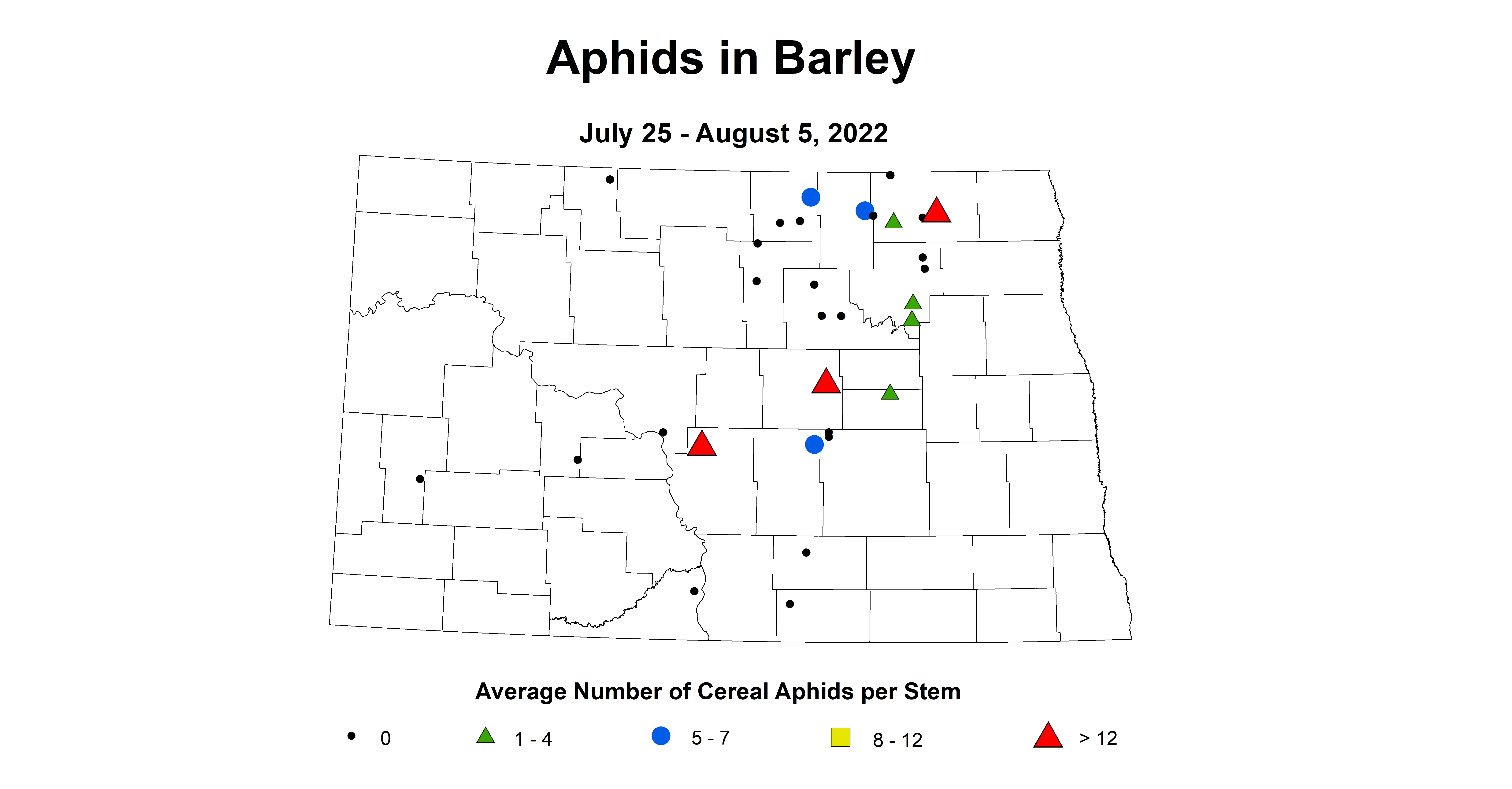 barley aphids 2022 7.25-8.5.jpg