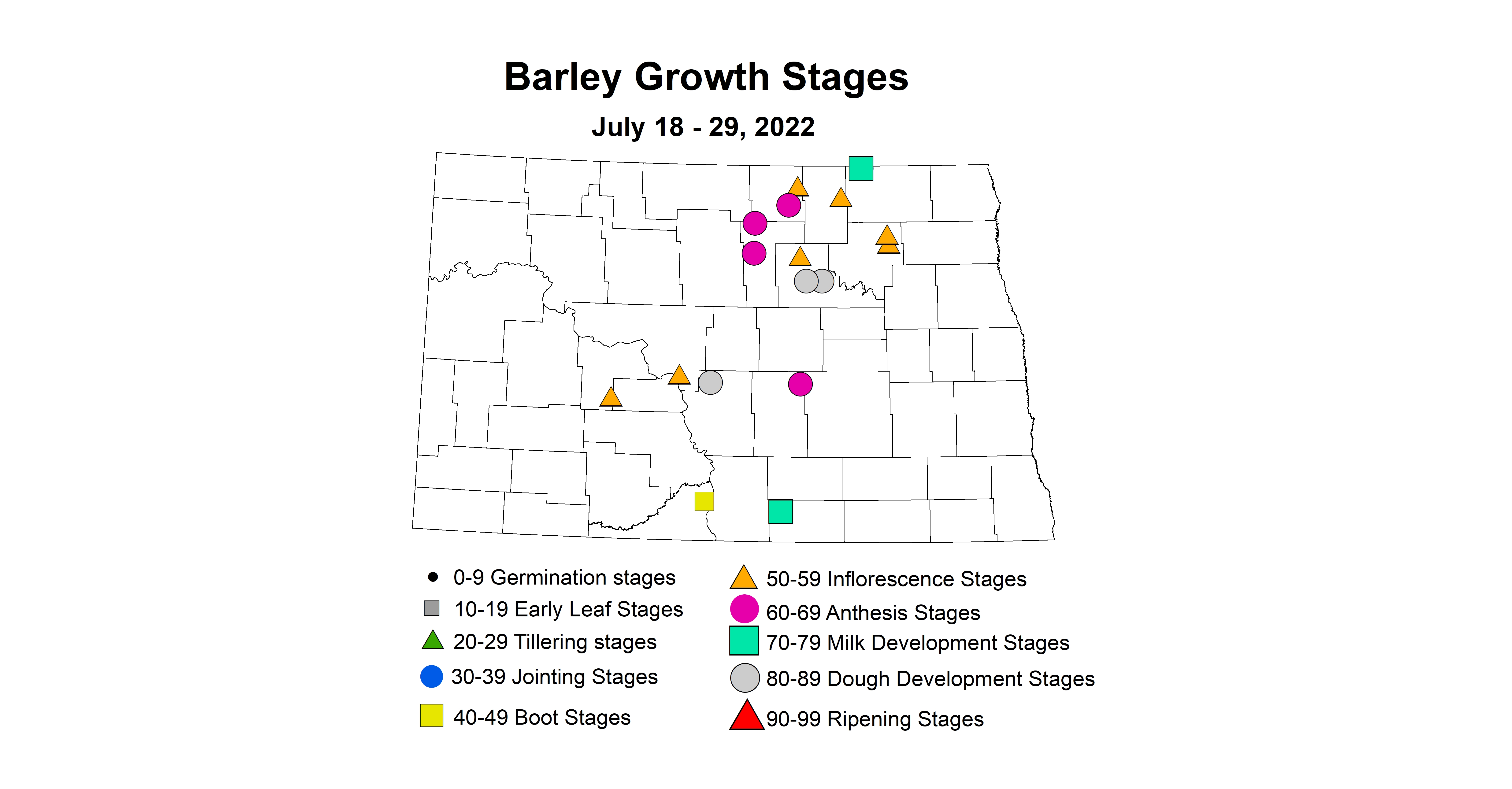 barley growth stages 2022 7.18-7.29