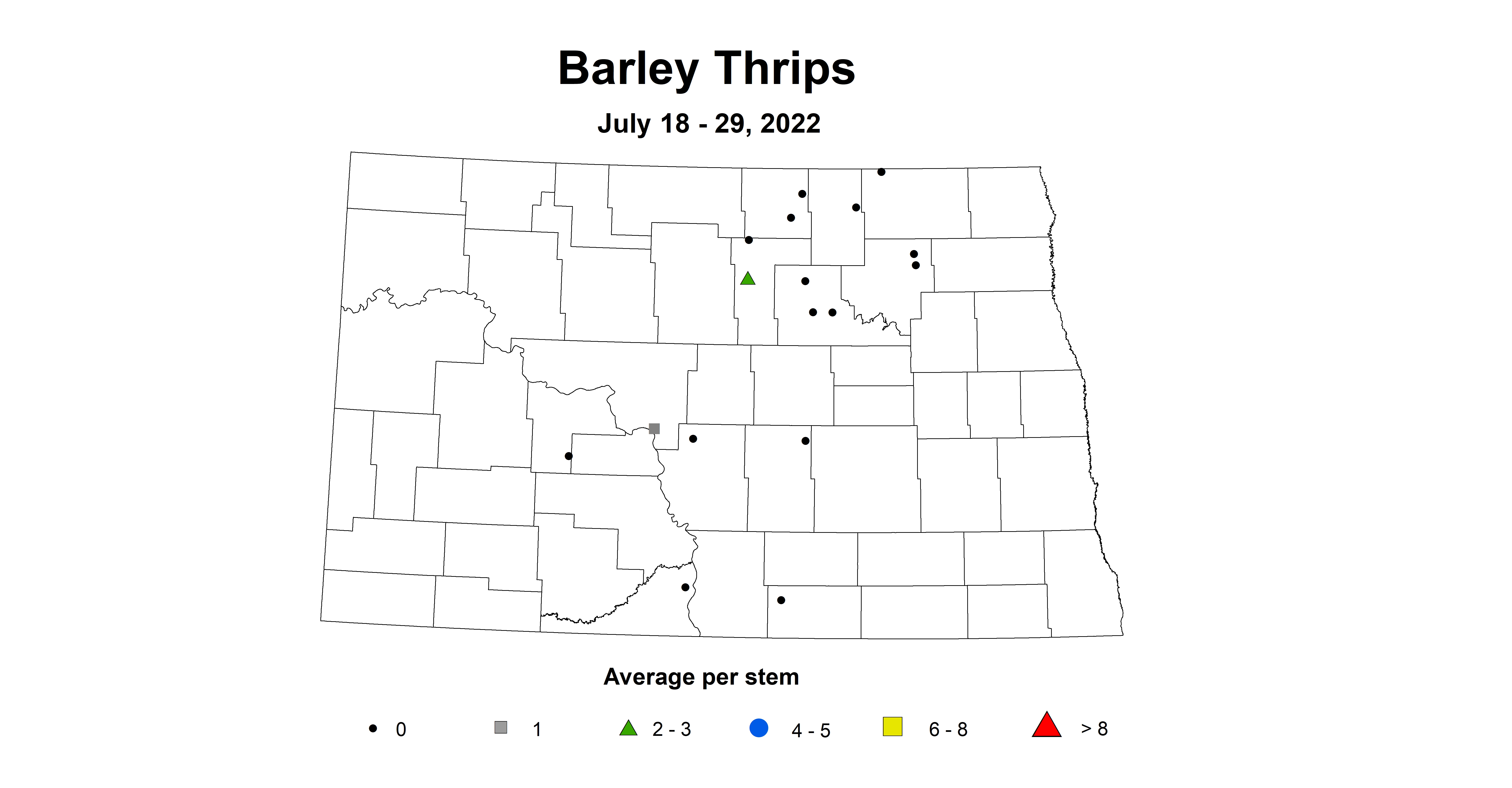 barley thrips 2022 7.18-7.29.jpg