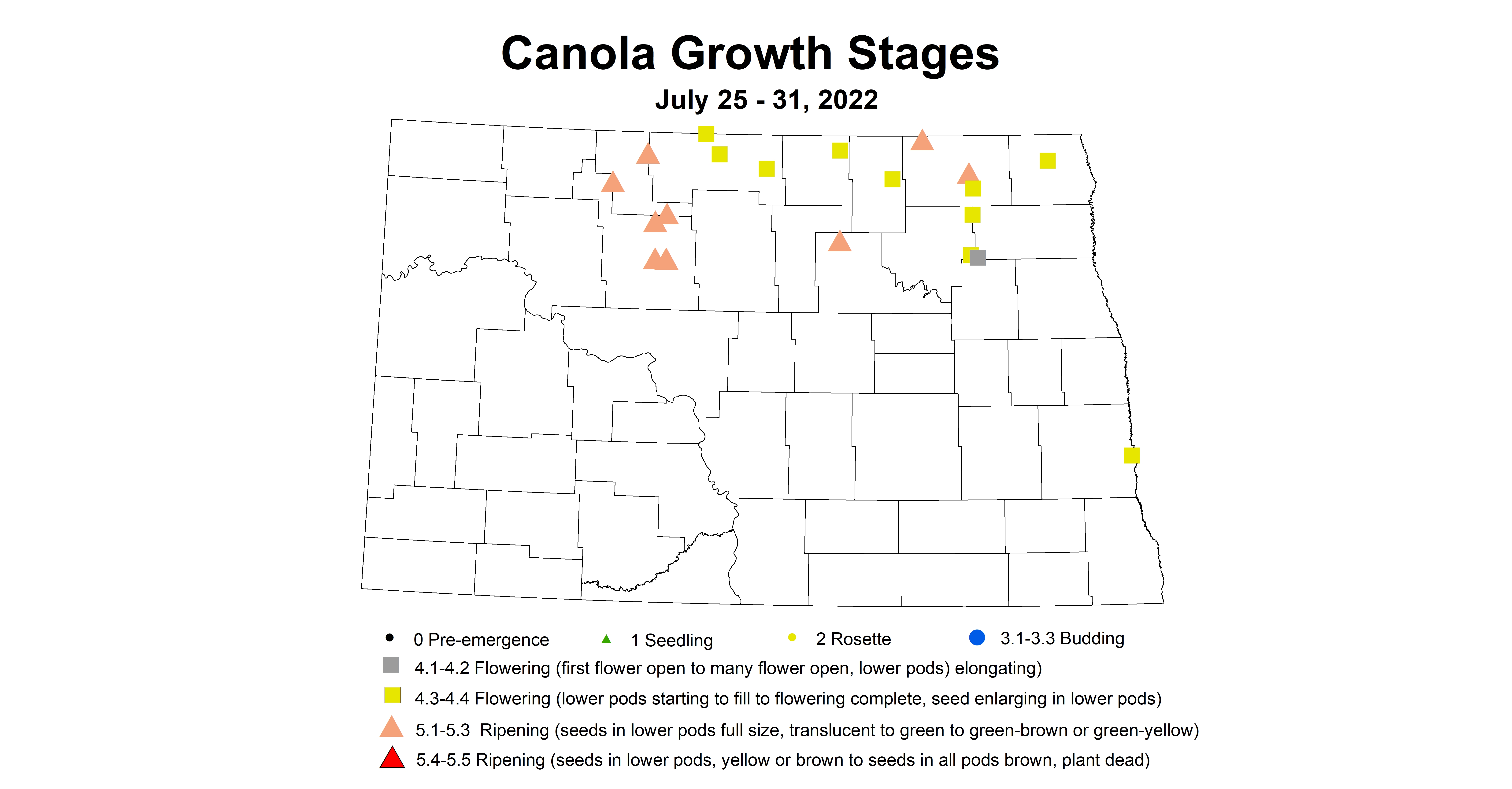 canola growth stages 2022 7.25-7.31.jpg
