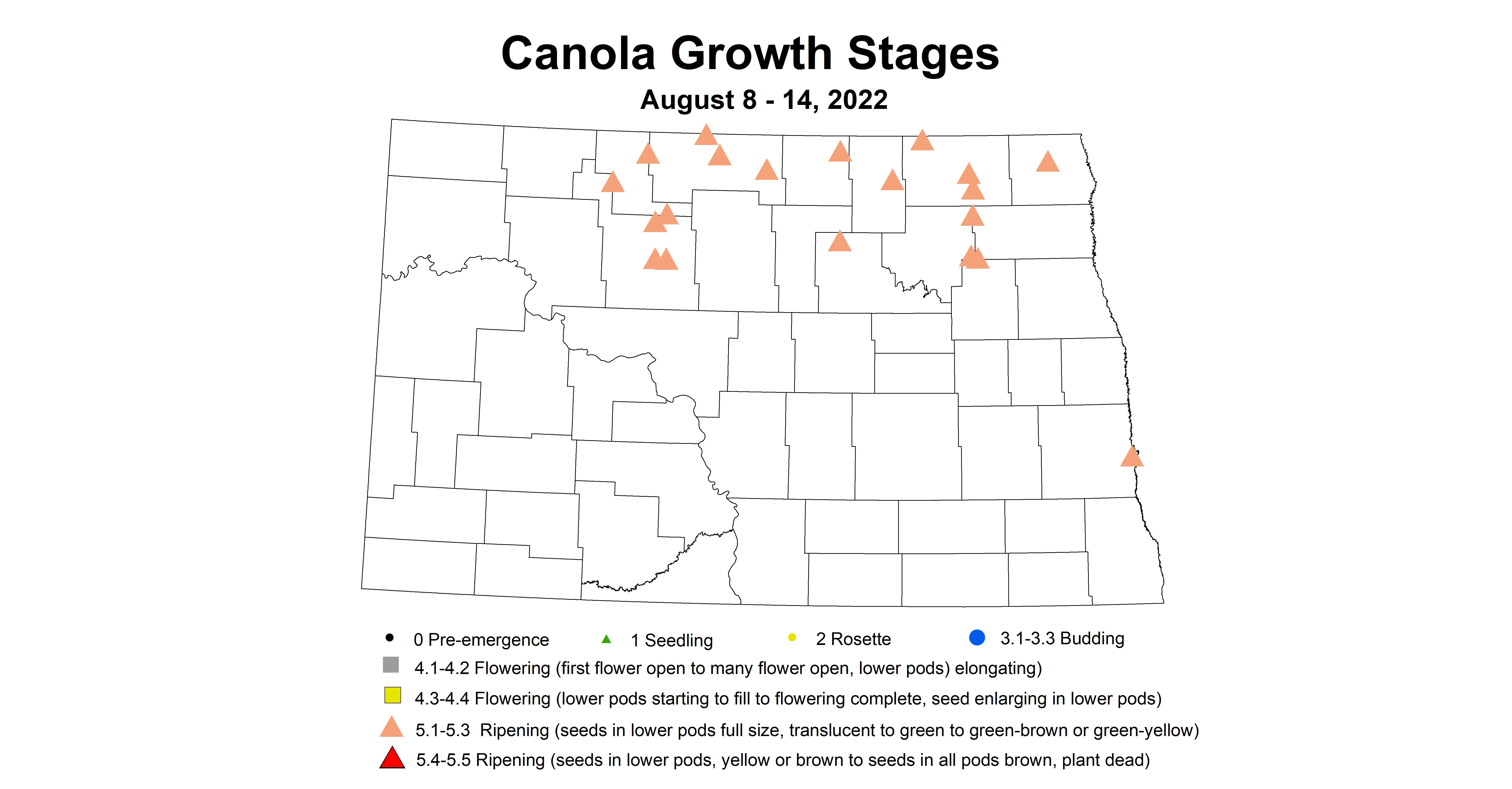 canola growth stages 2022 8.8-8.14