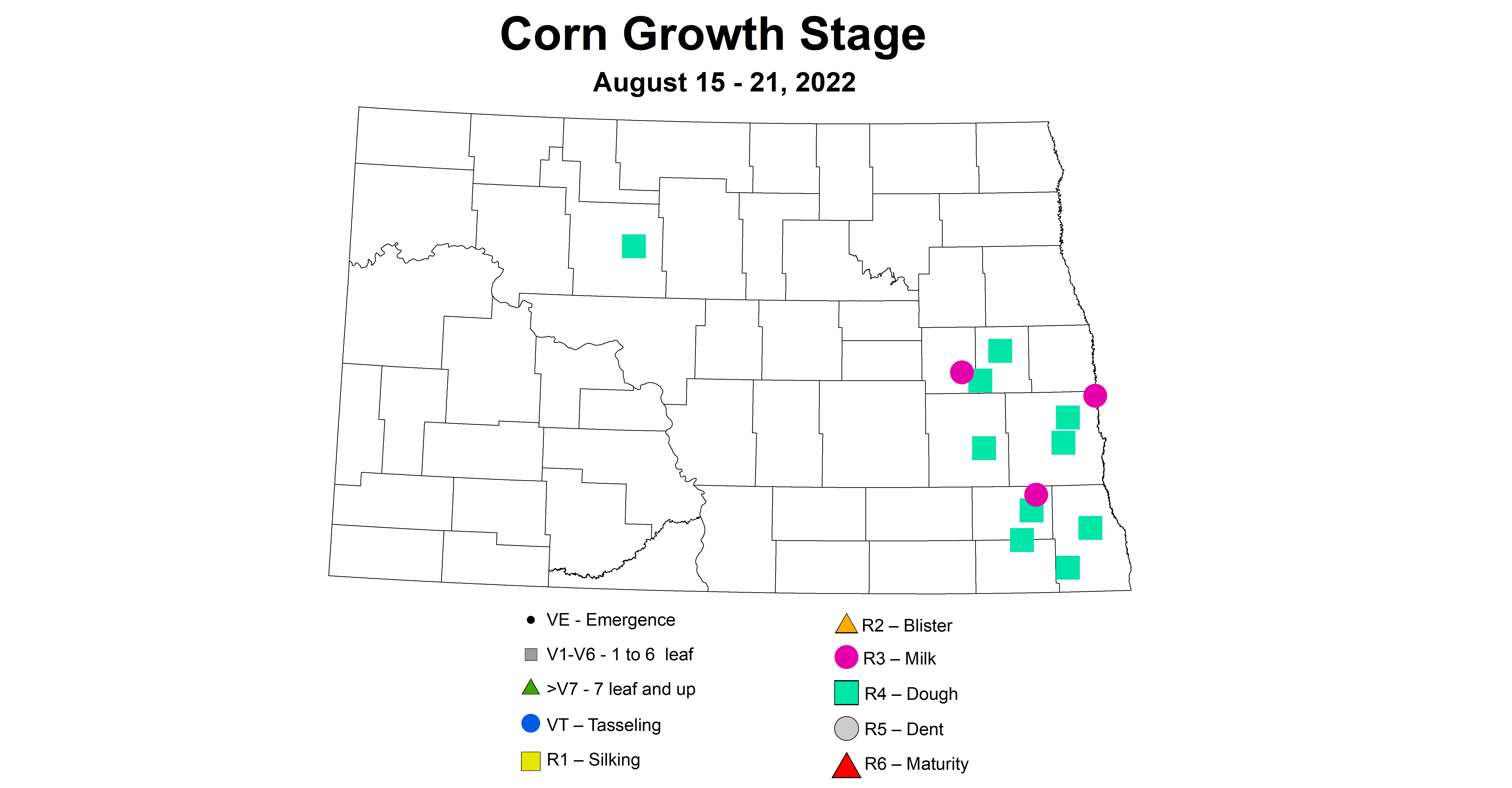corn growth stage 2022 8.15-8.21