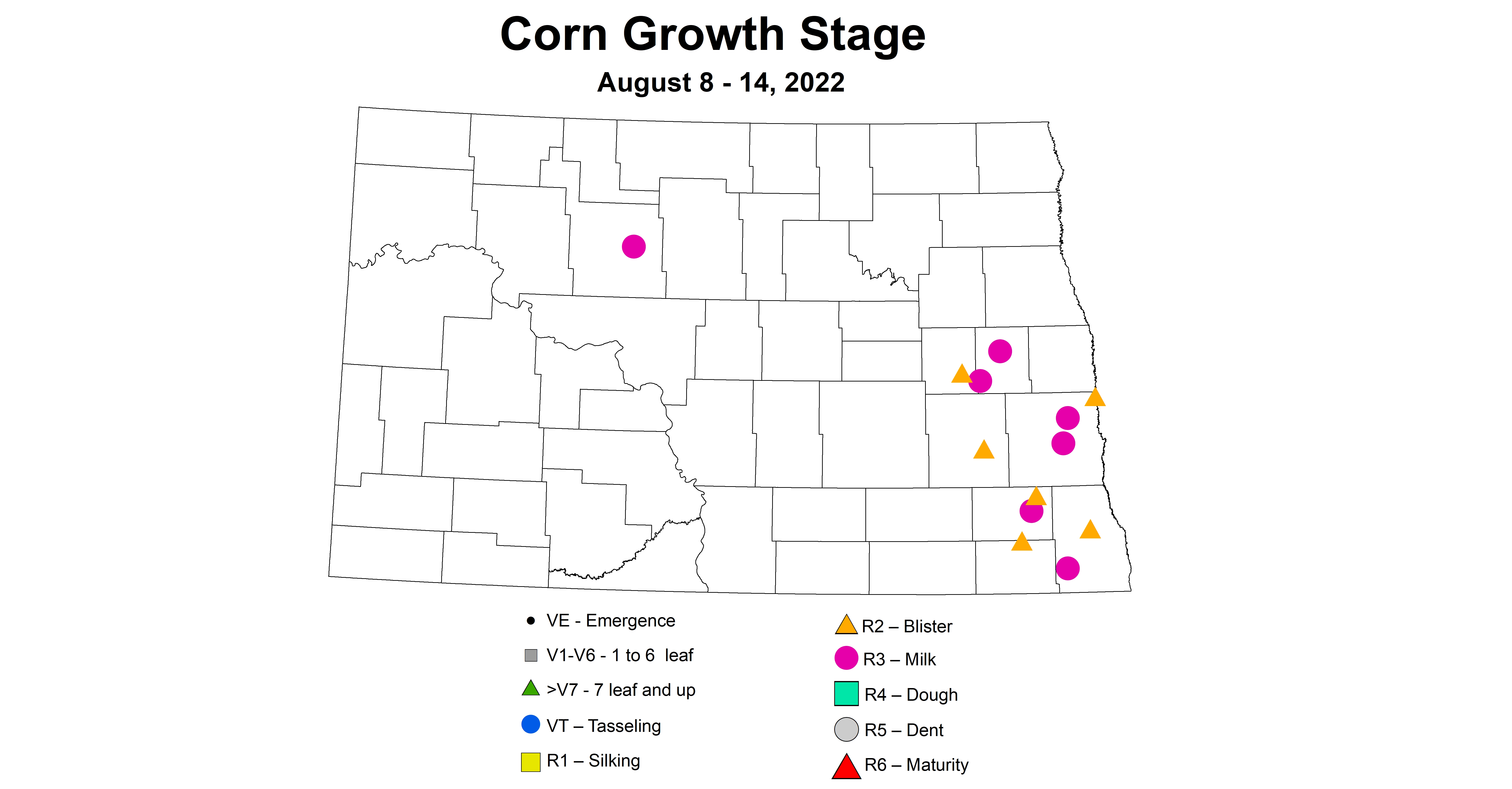 corn growth stages 8.8-8.14