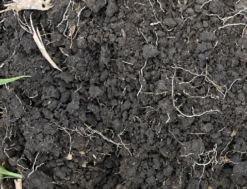 Figure 8. Example of a well-aggregated soil.