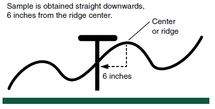 Figure 3. Sampling strategy in ridge-till systems.