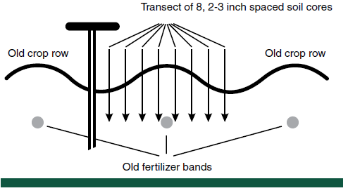 Figure 4. Sampling strategy for soil P and K in a transect perpendicular to row direction spanning at least one complete row.