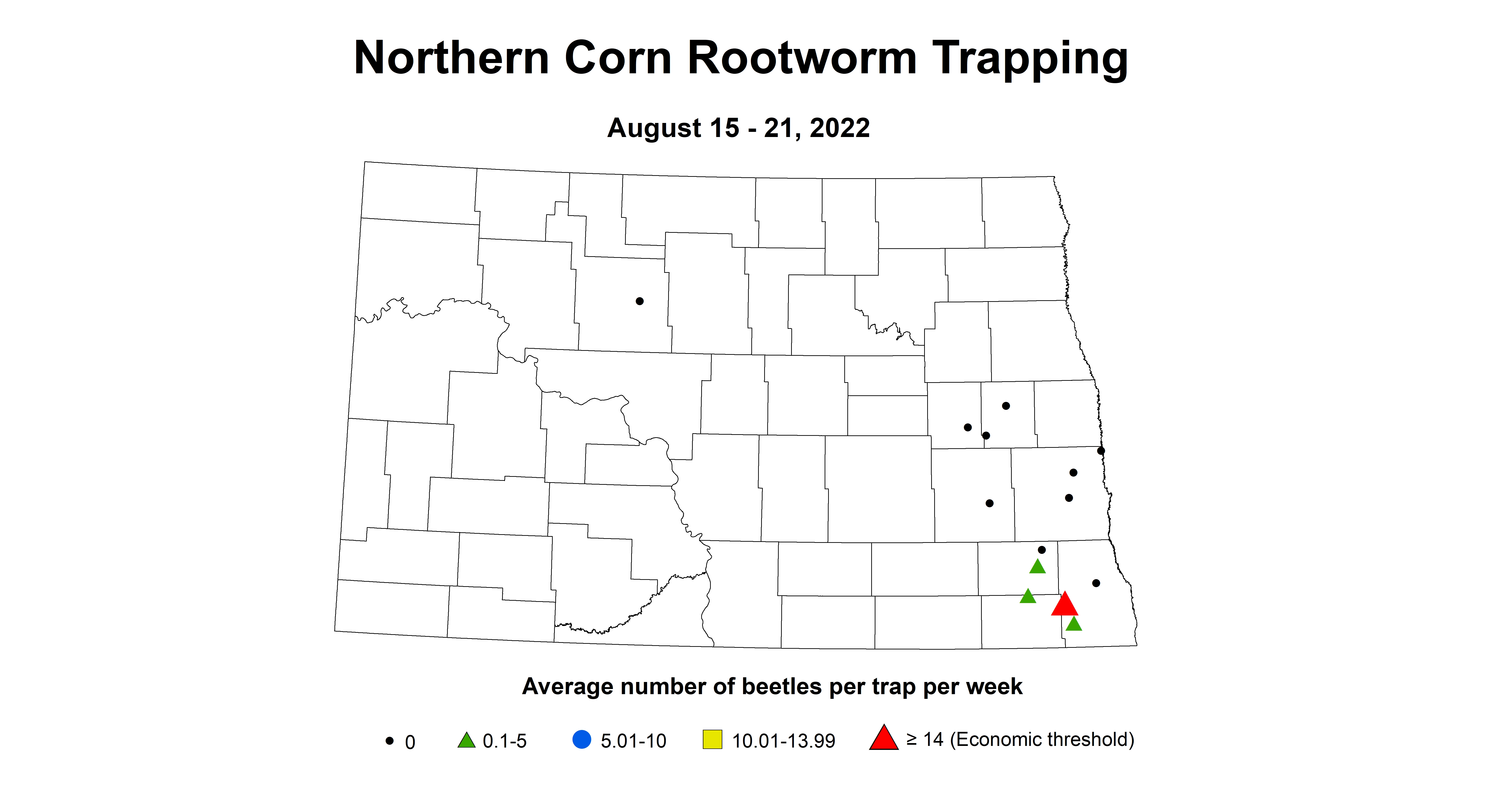 northern corn rootworm 2022 8.15-8.21