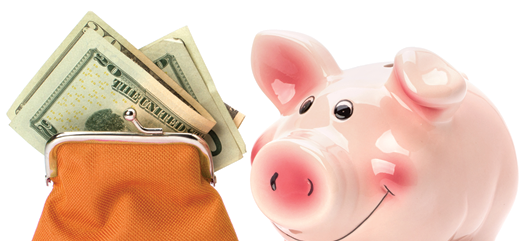 Purse money and piggy bank