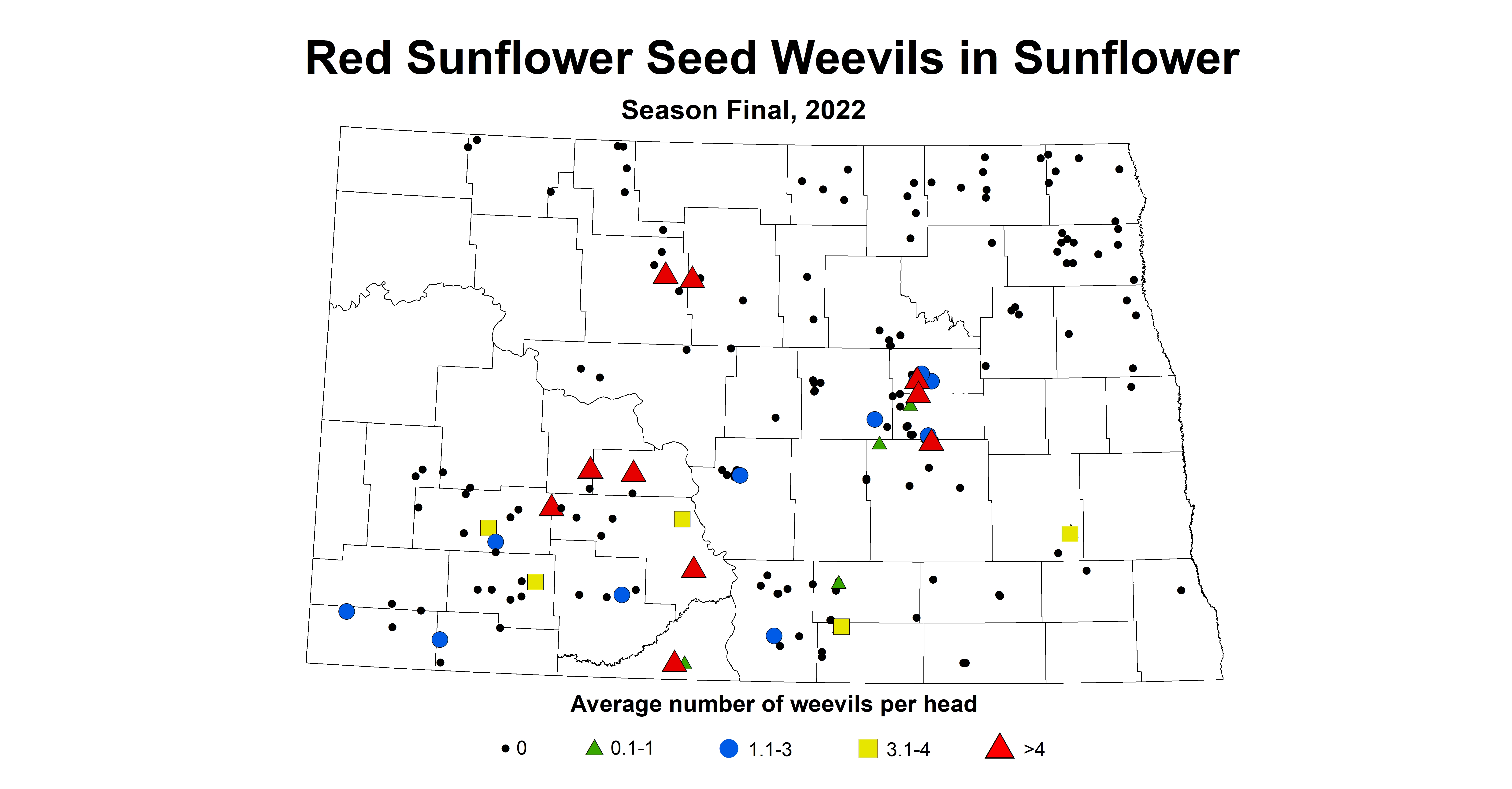 red sunflower seed weevils 2022 season final
