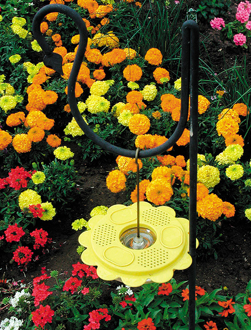 Figure 1. A colorful flower garden with a butterfly feeder can be attractive to butterflies.