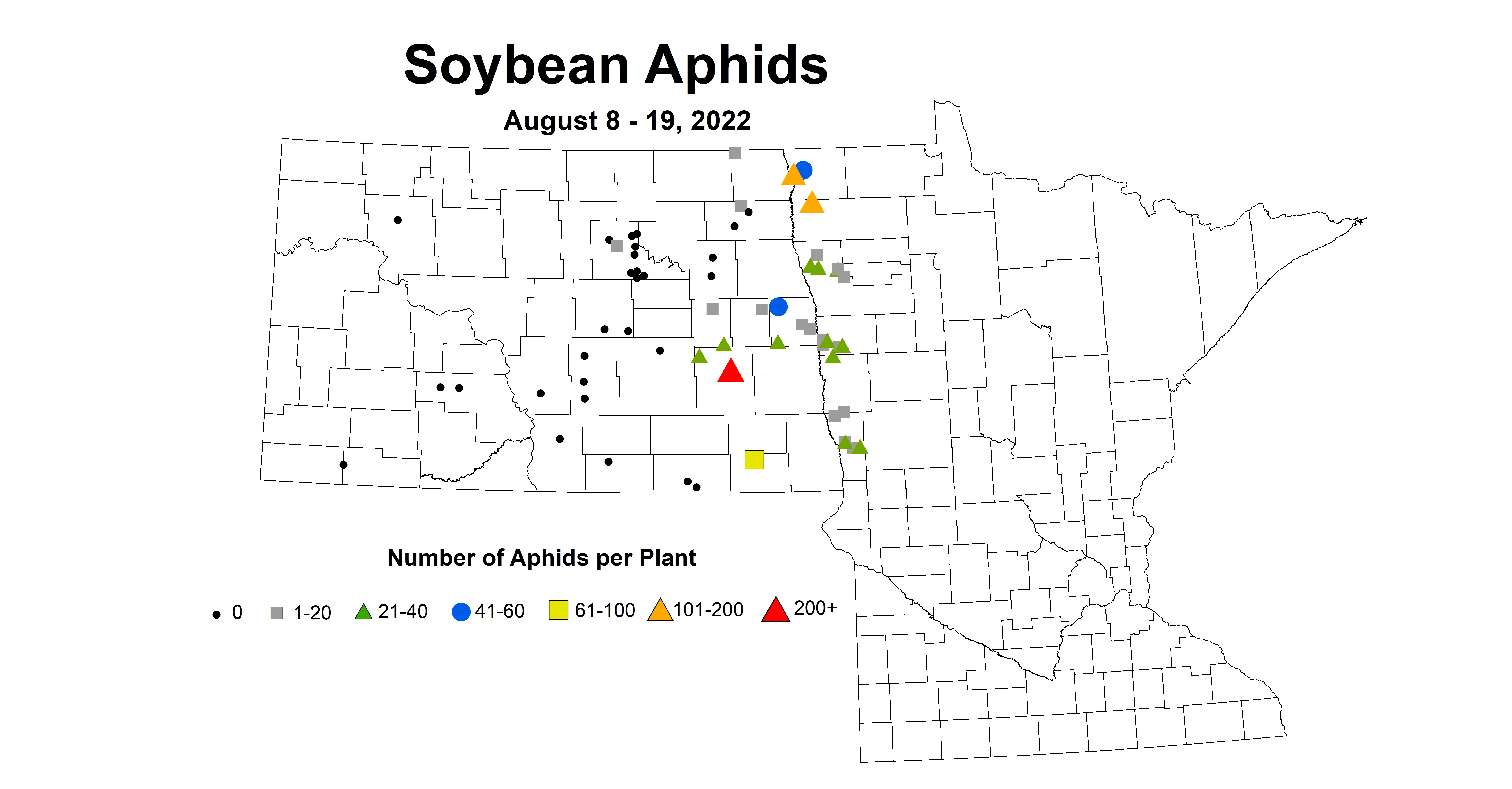 soybean average number of aphids 2022 8.8-8.19.jpg