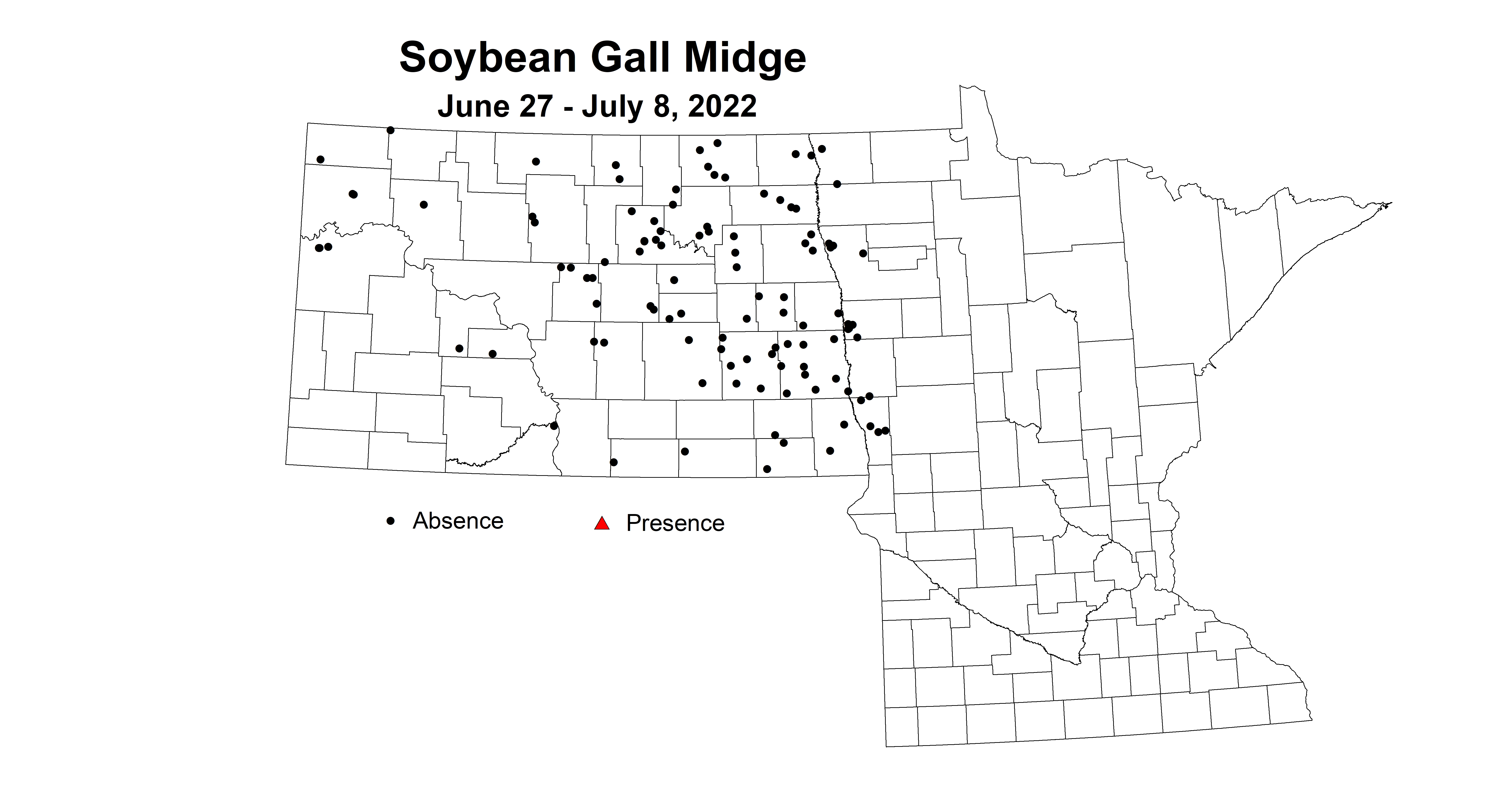 soybean gall midge 2022 6.27-7.8