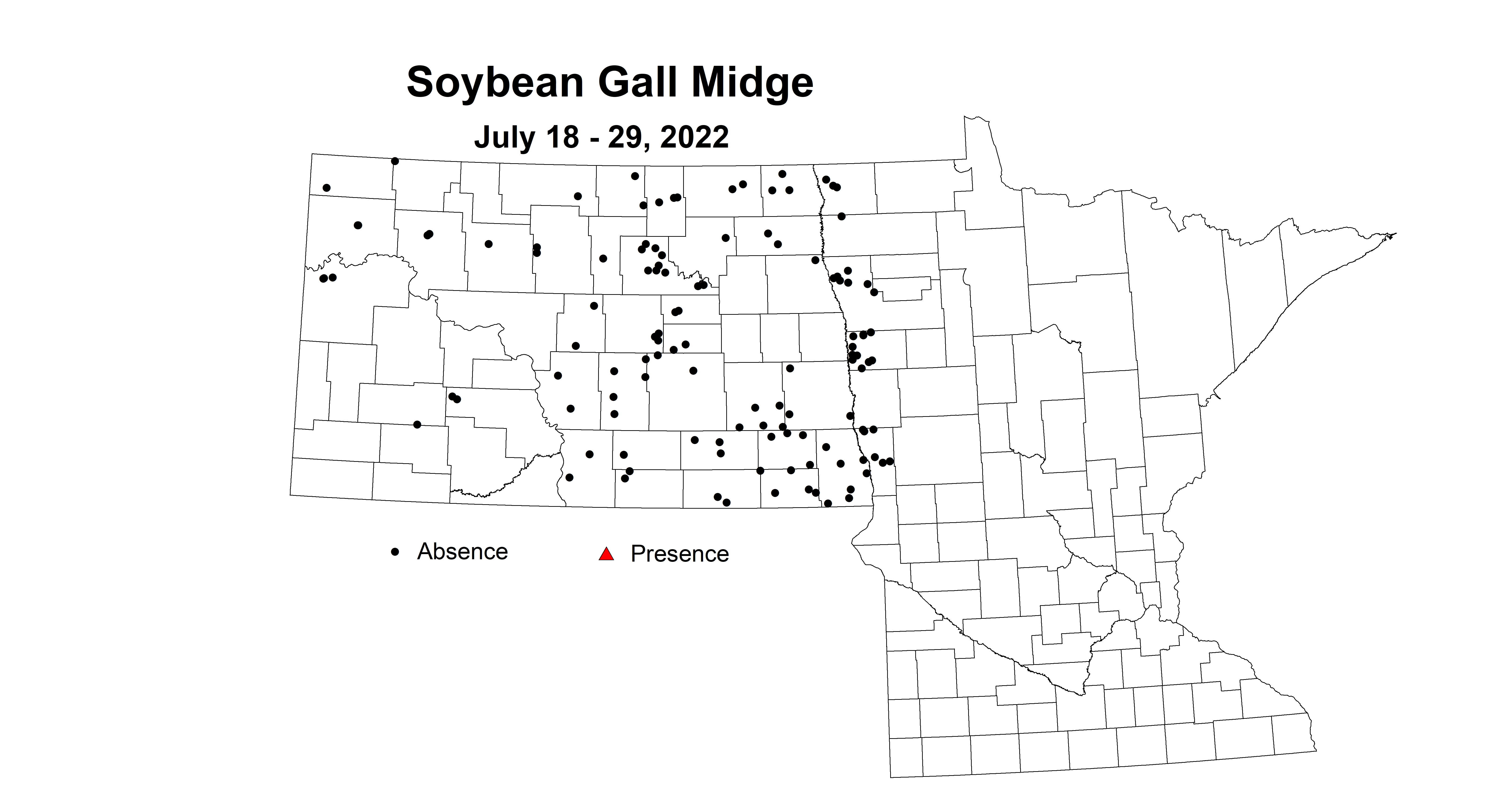 soybean gall midge 2022 7.18-7.29