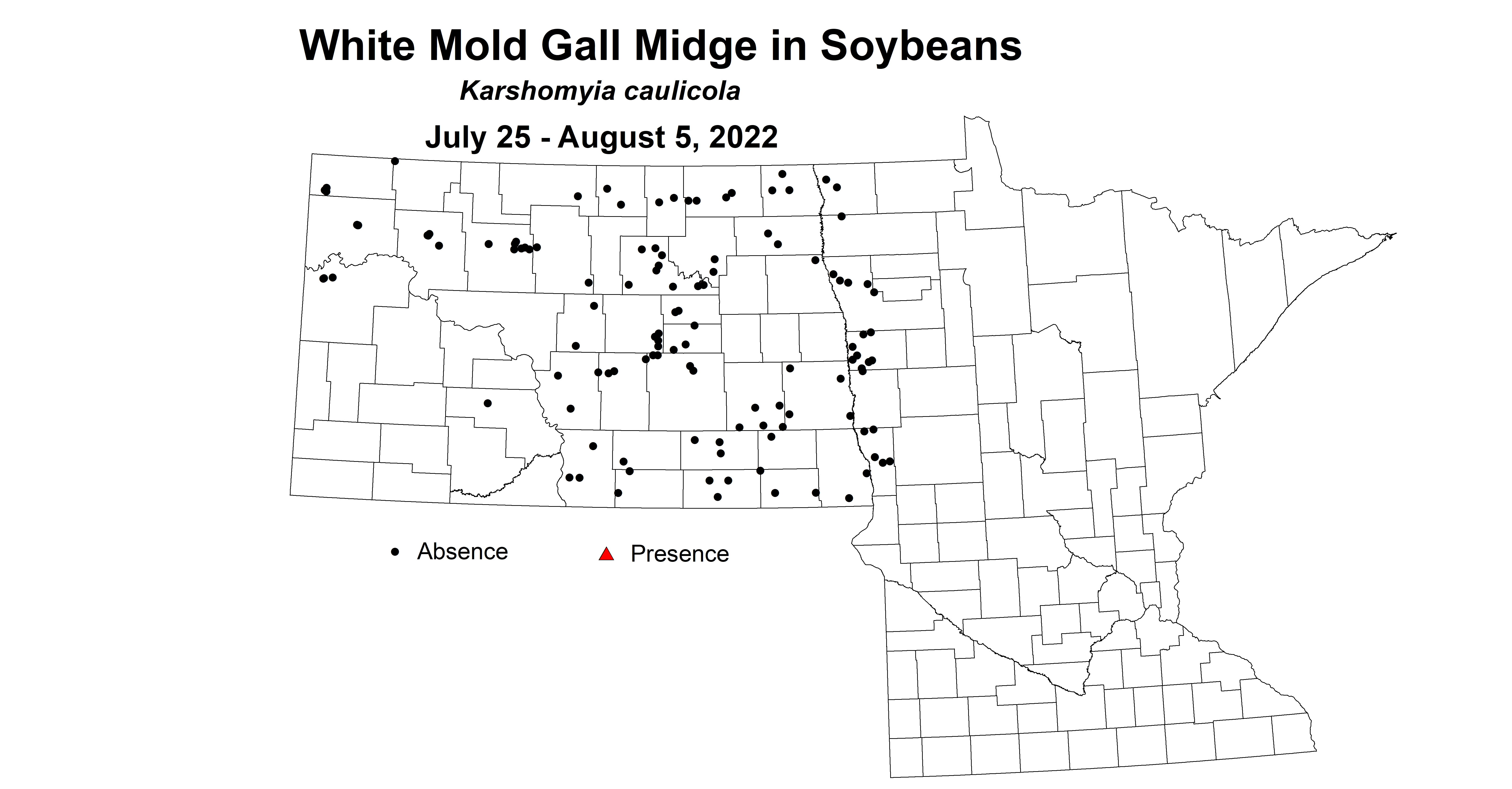 soybean mold gall midge 2022 7.25-8.5.jpg
