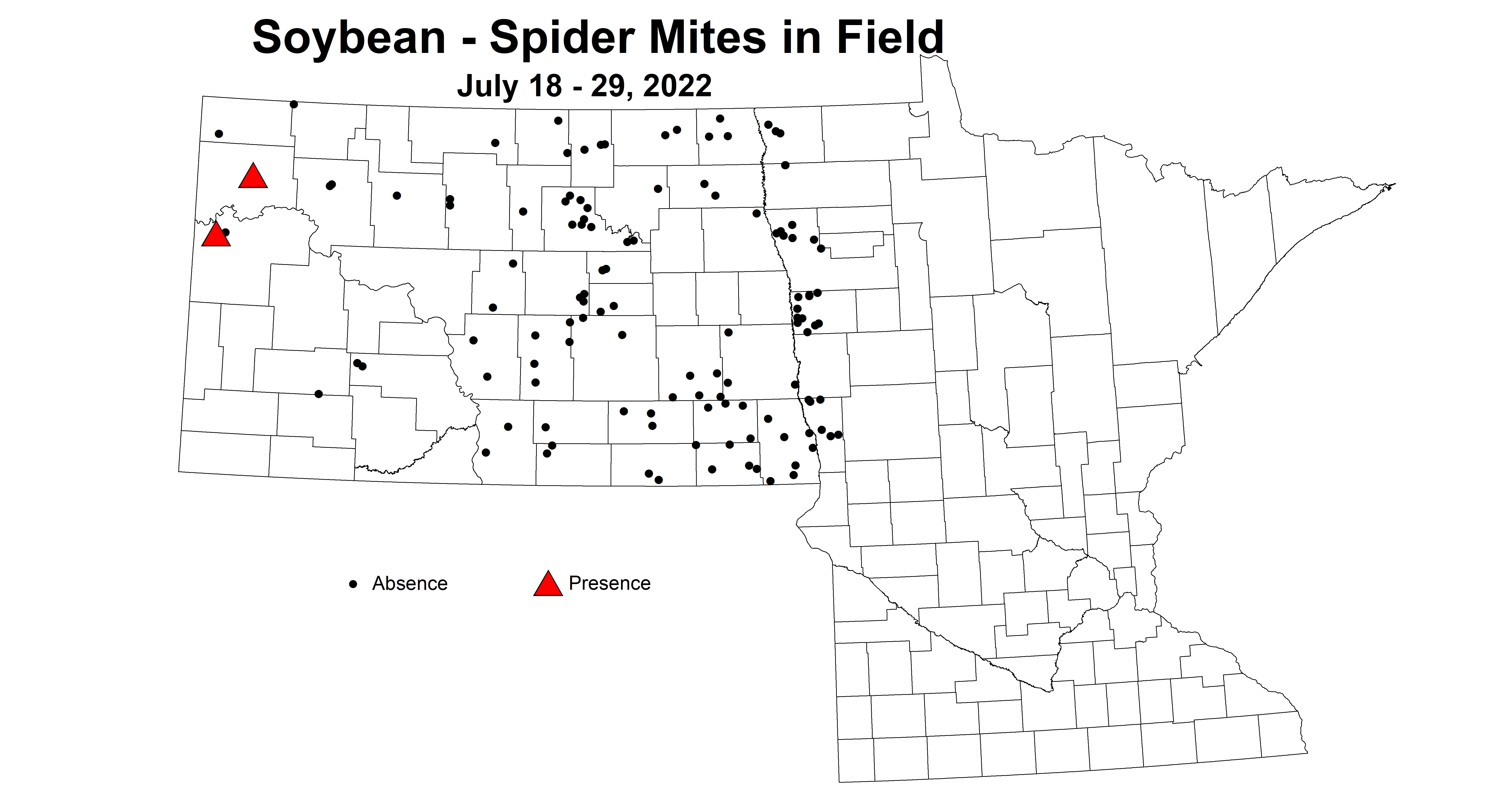 soybean spider mites in field 2022 7.18-7.29.jpg