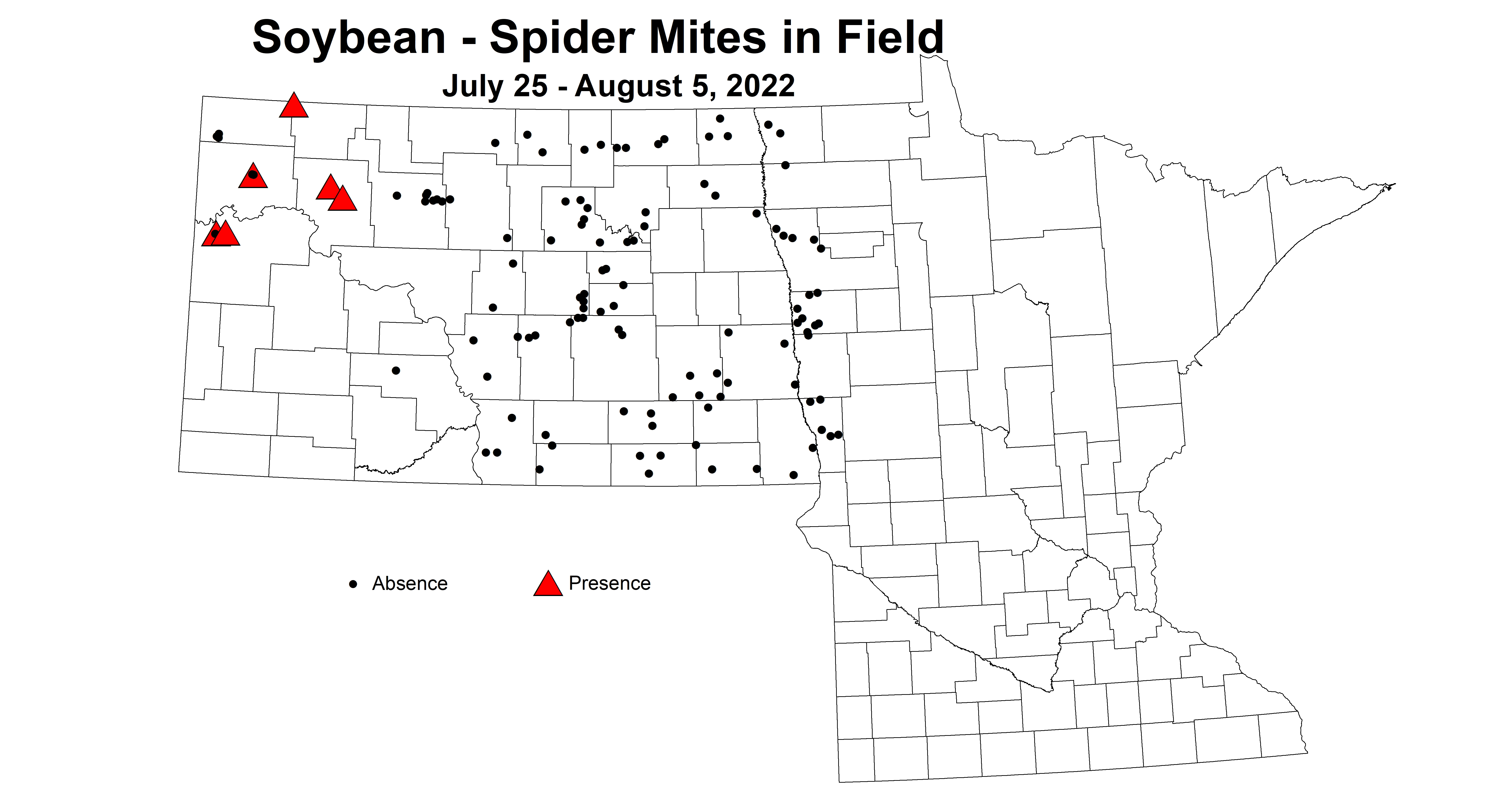 soybean spider mites in field 2022 7.25-8.5.jpg