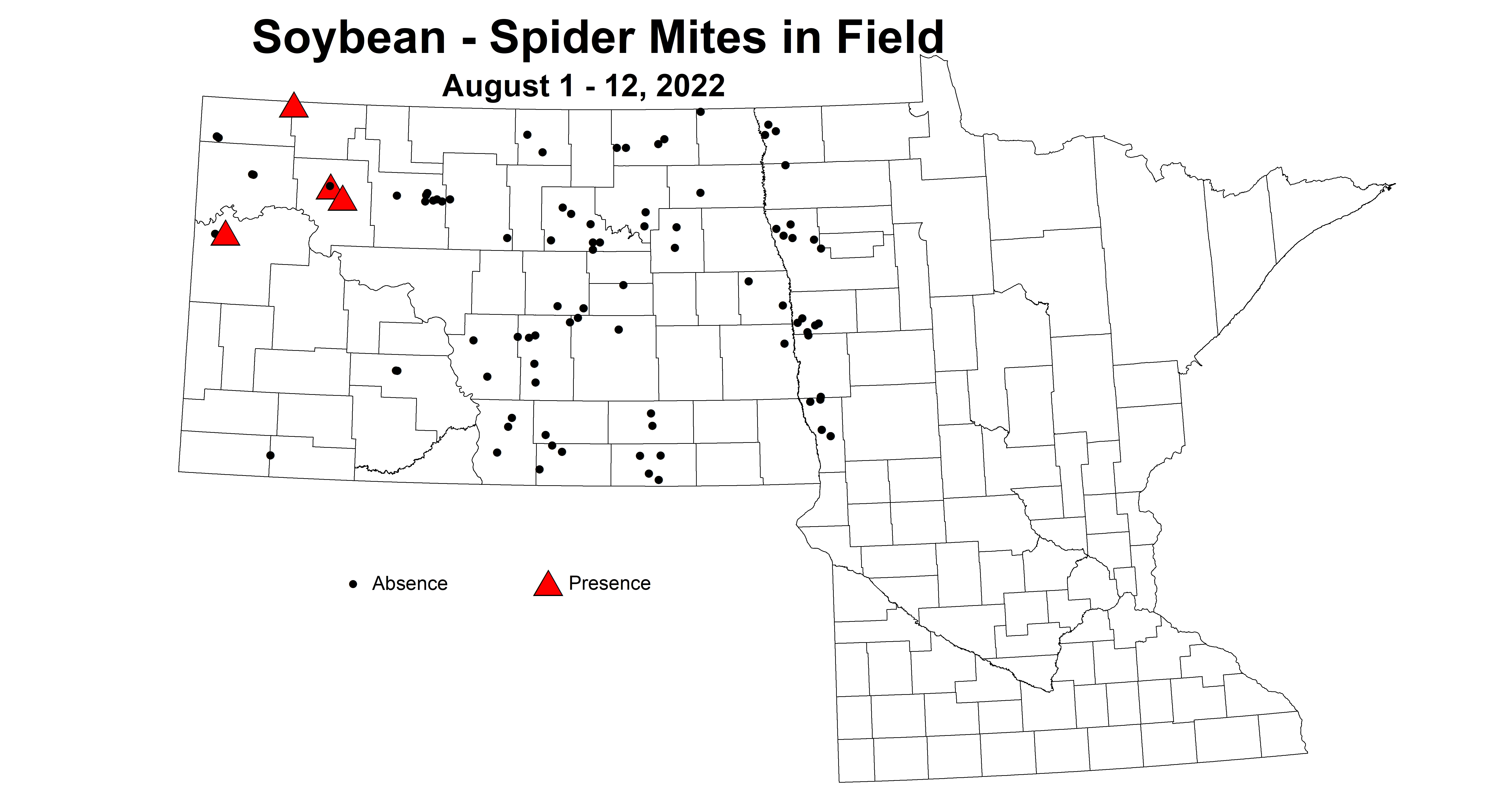 soybean spider mites in field 2022 8.1-8.12