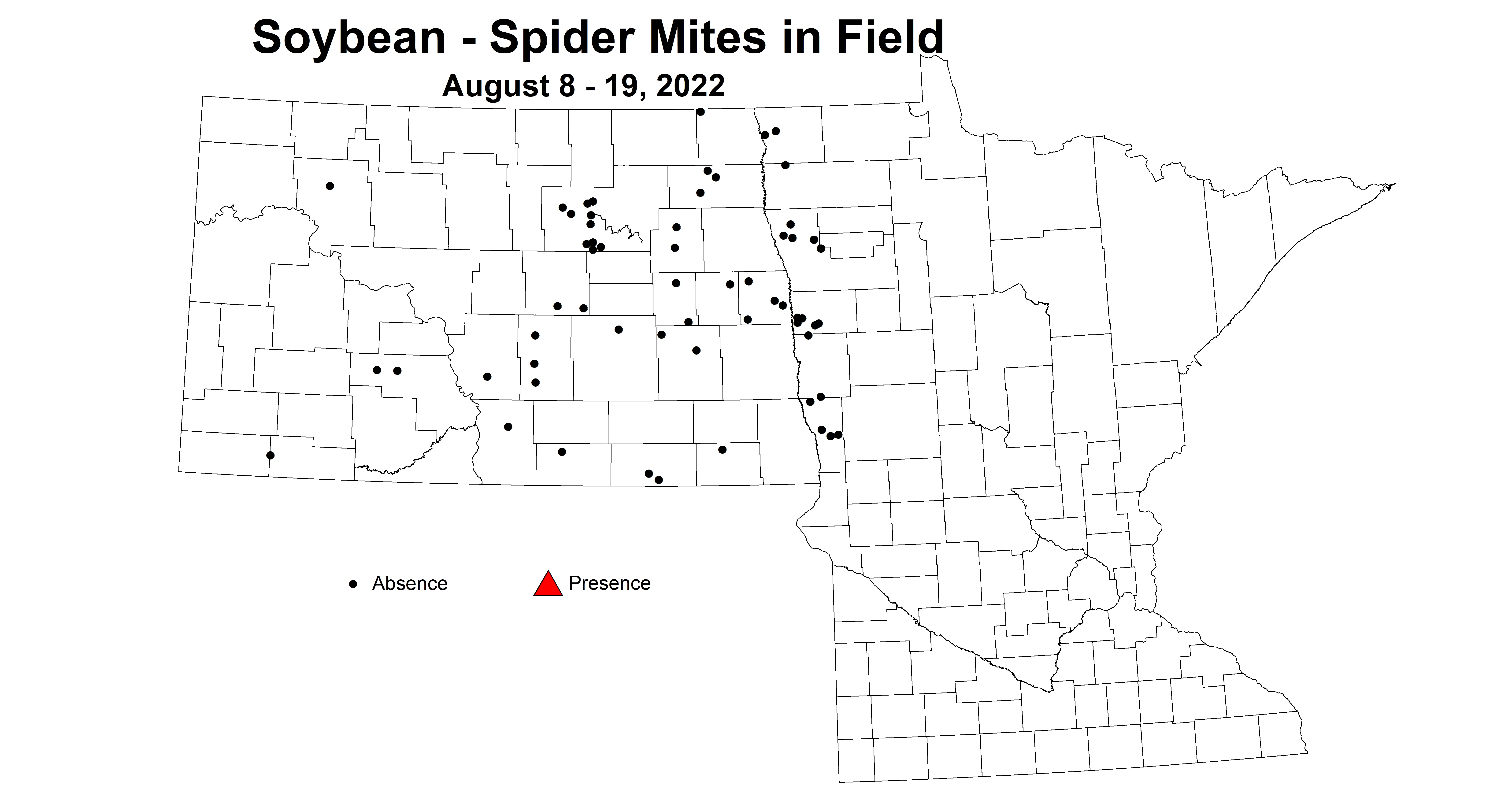 soybean spider mites in field 2022 8.8-8.19.jpg