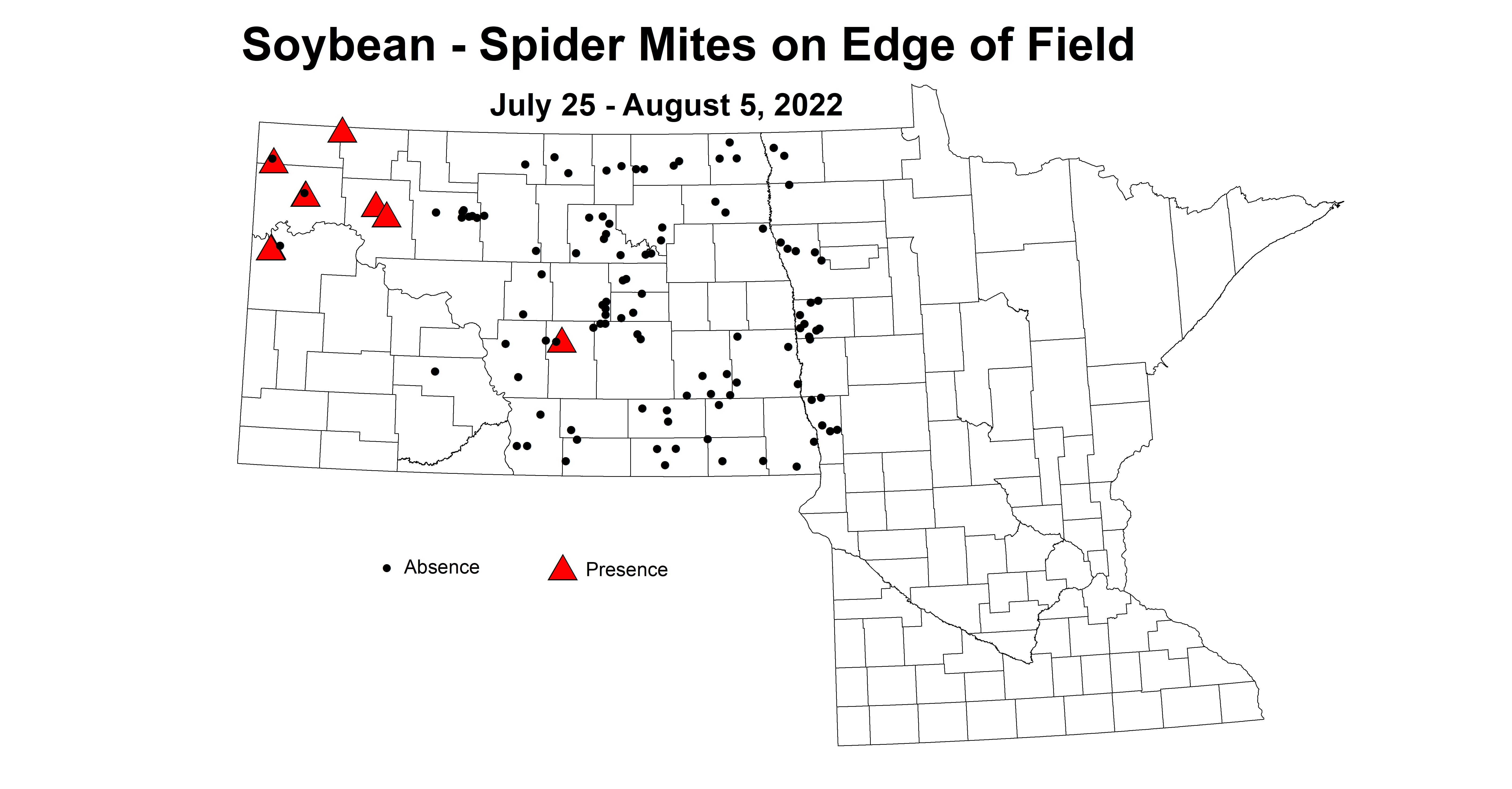 soybean spider mites on edge of field 2022 7.25-8.5.jpg