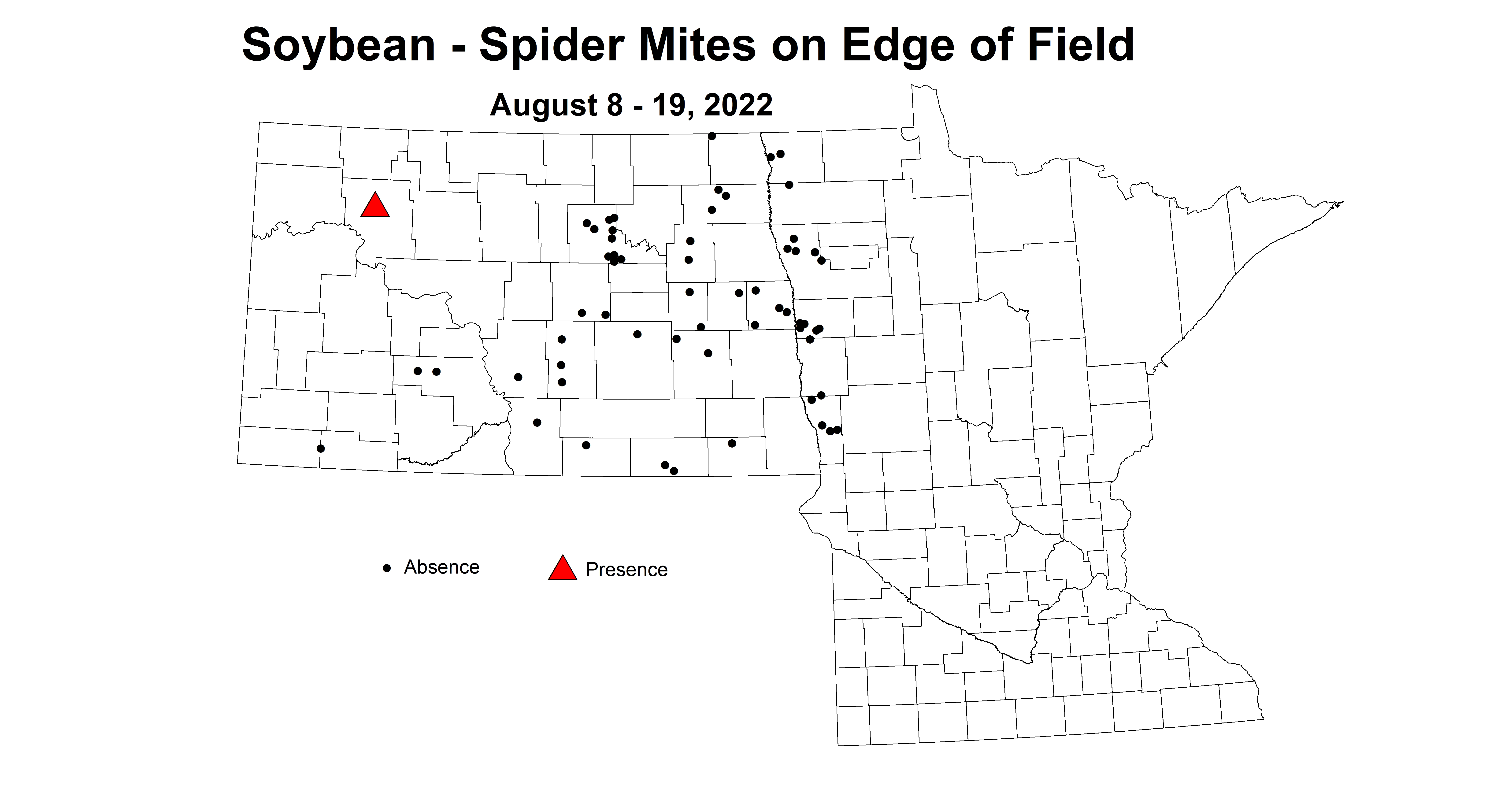 soybean spider mites on edge of field 2022 8.8-8.19.jpg