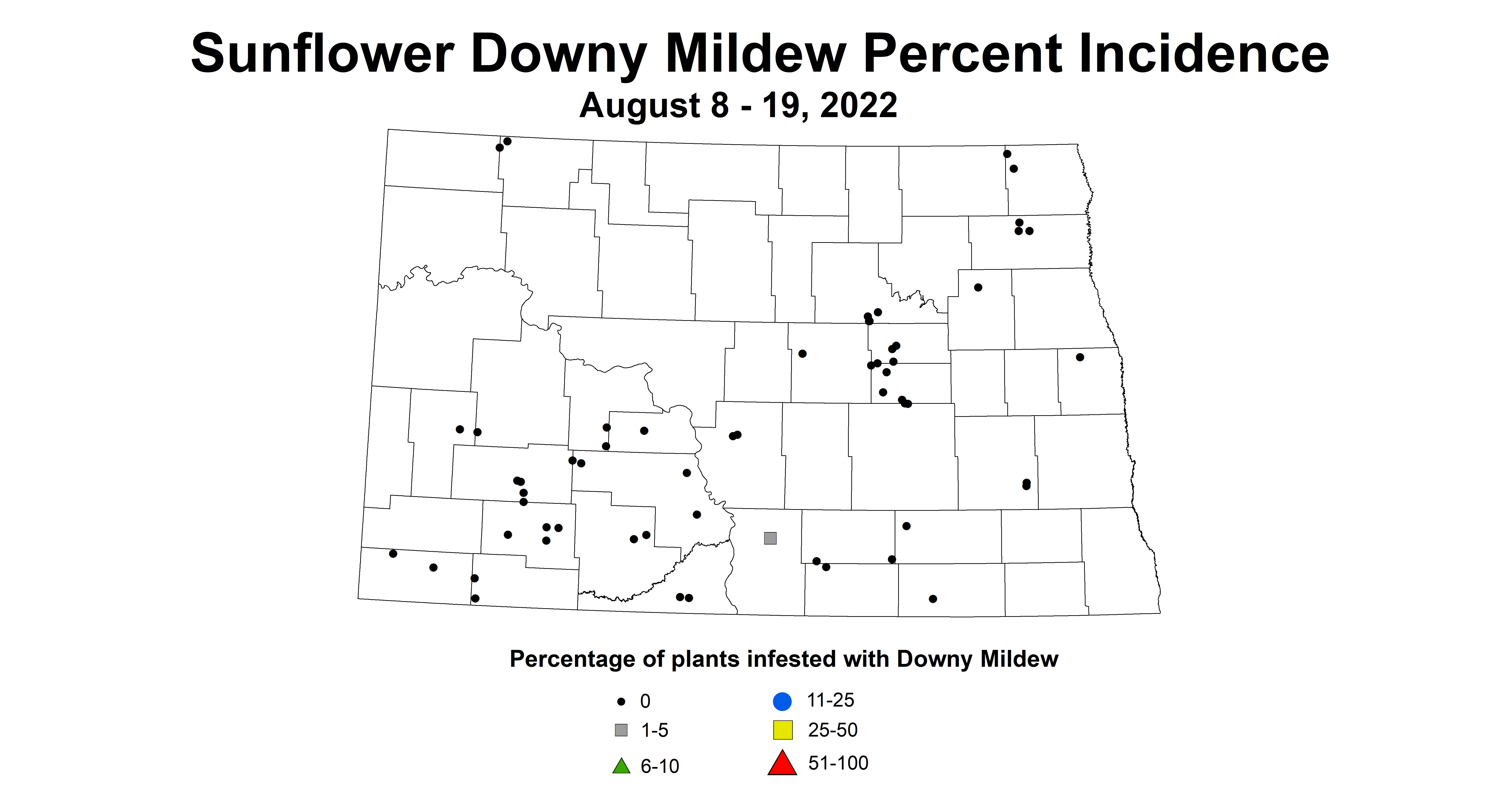 sunflower downy mildew 2022 8.8-8.19.jpg