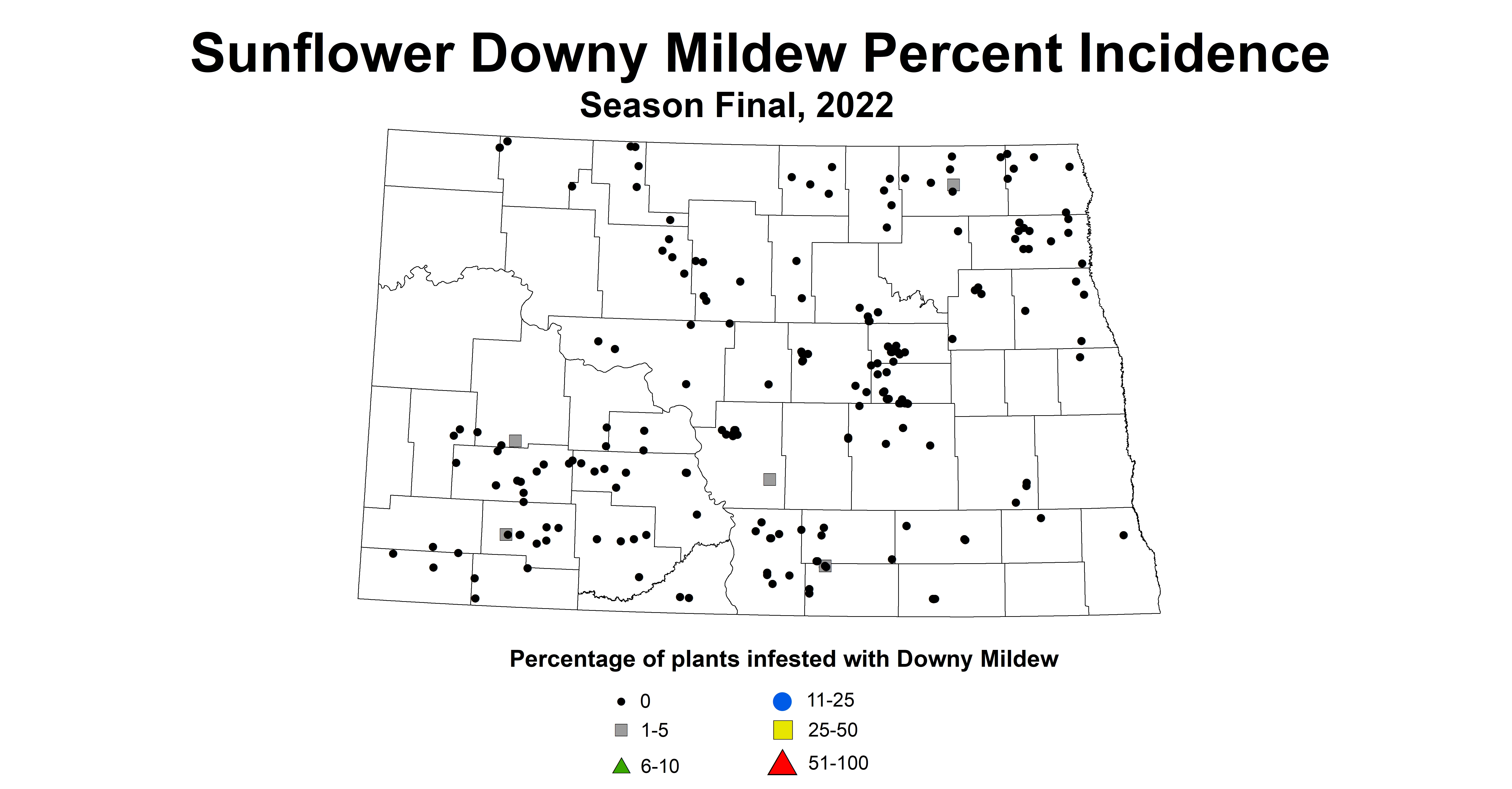 sunflower downy mildew incidence 2022 season final