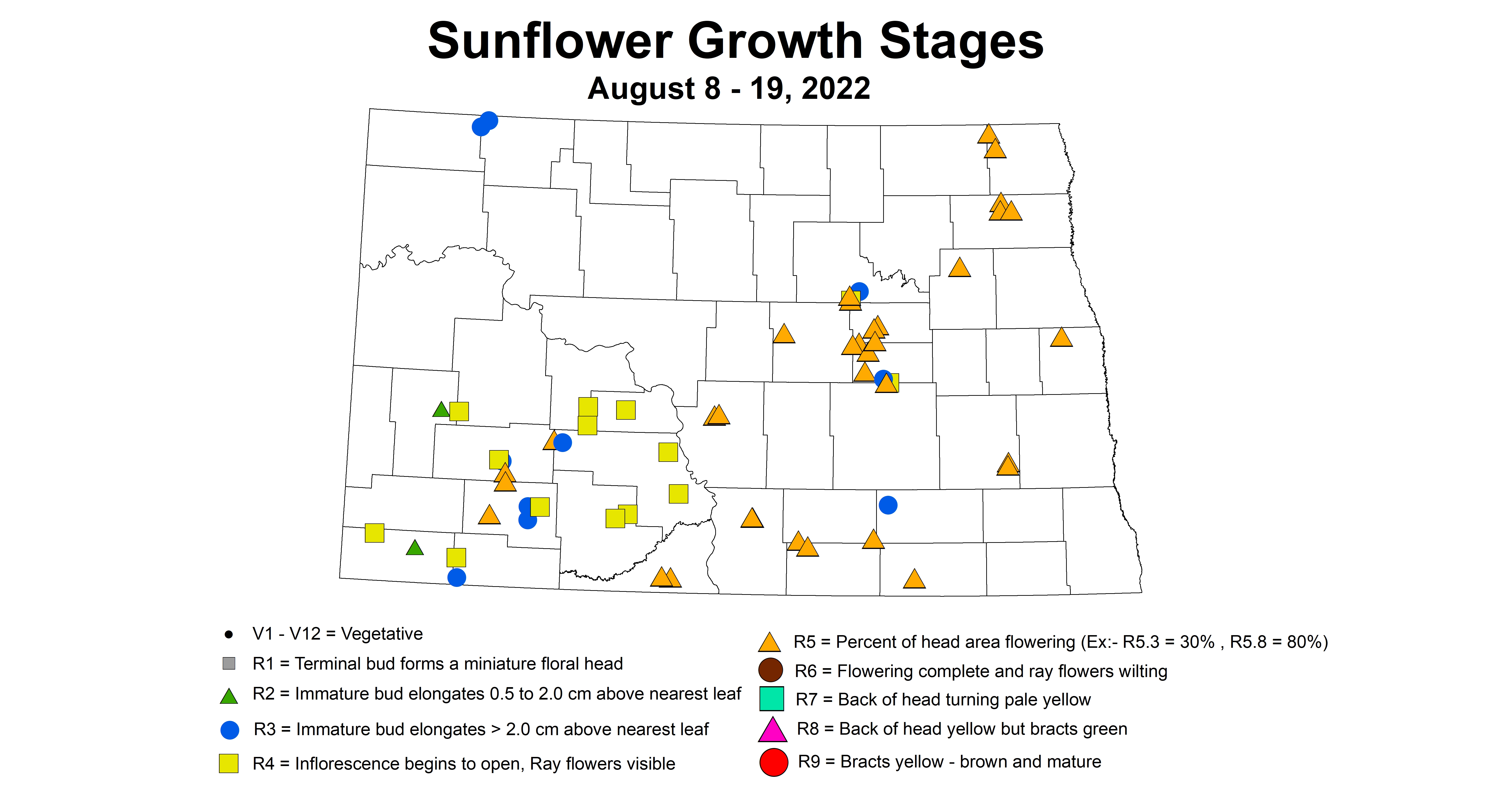 sunflower growth stage 2022 8.8-8.19.jpg