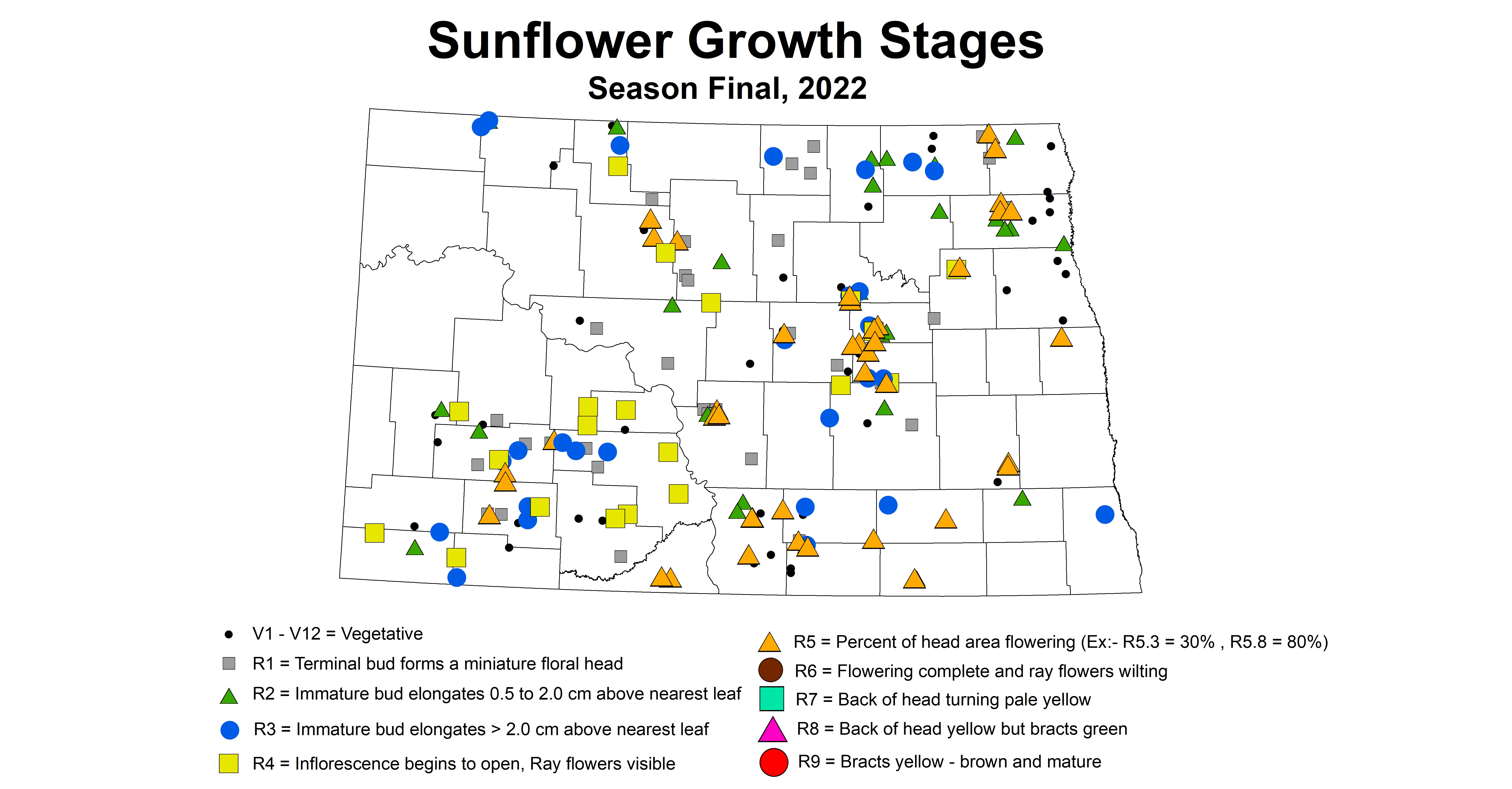 sunflower growth stage 2022 season final