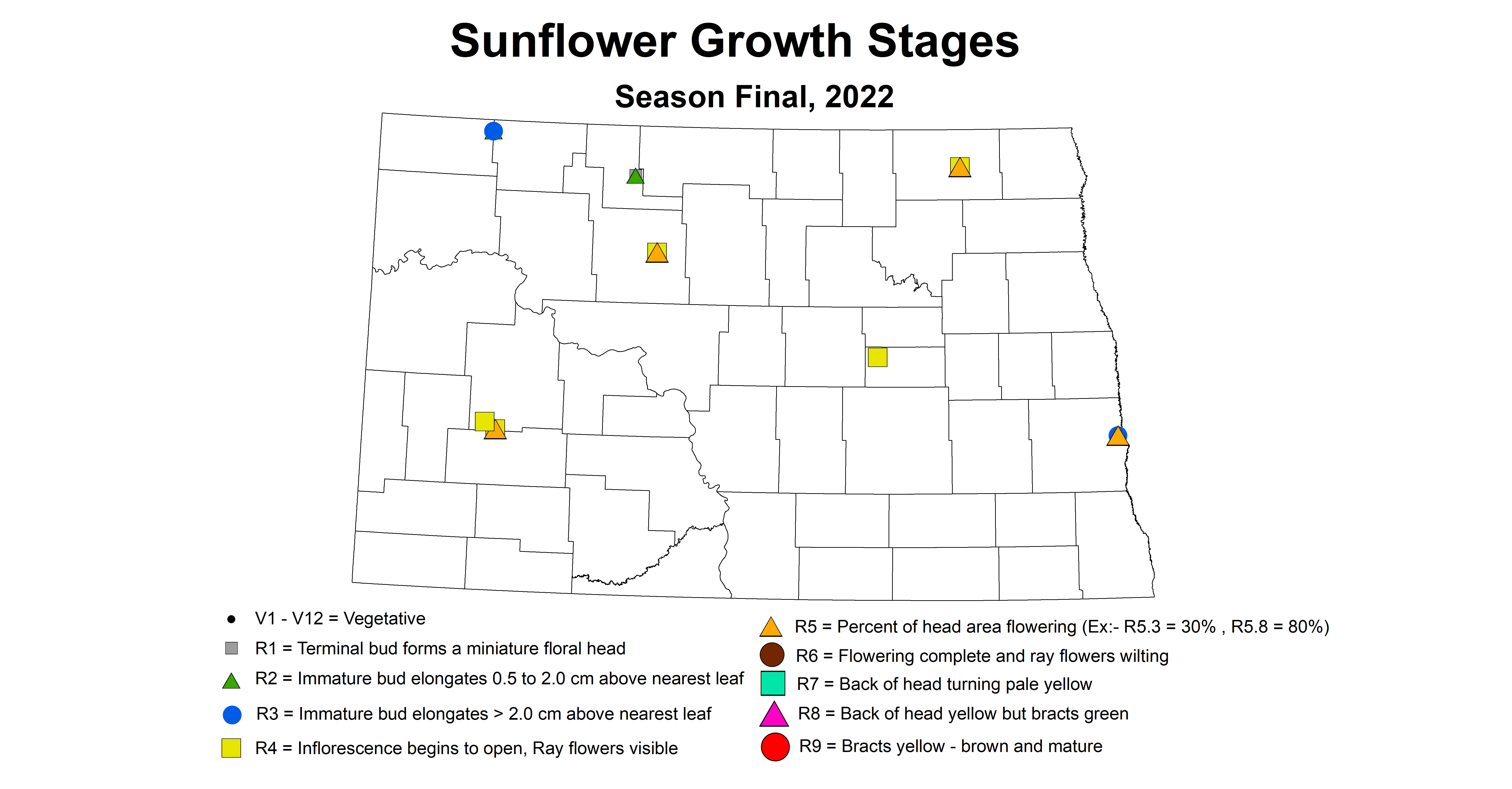 sunflower growth stage 2022 season final