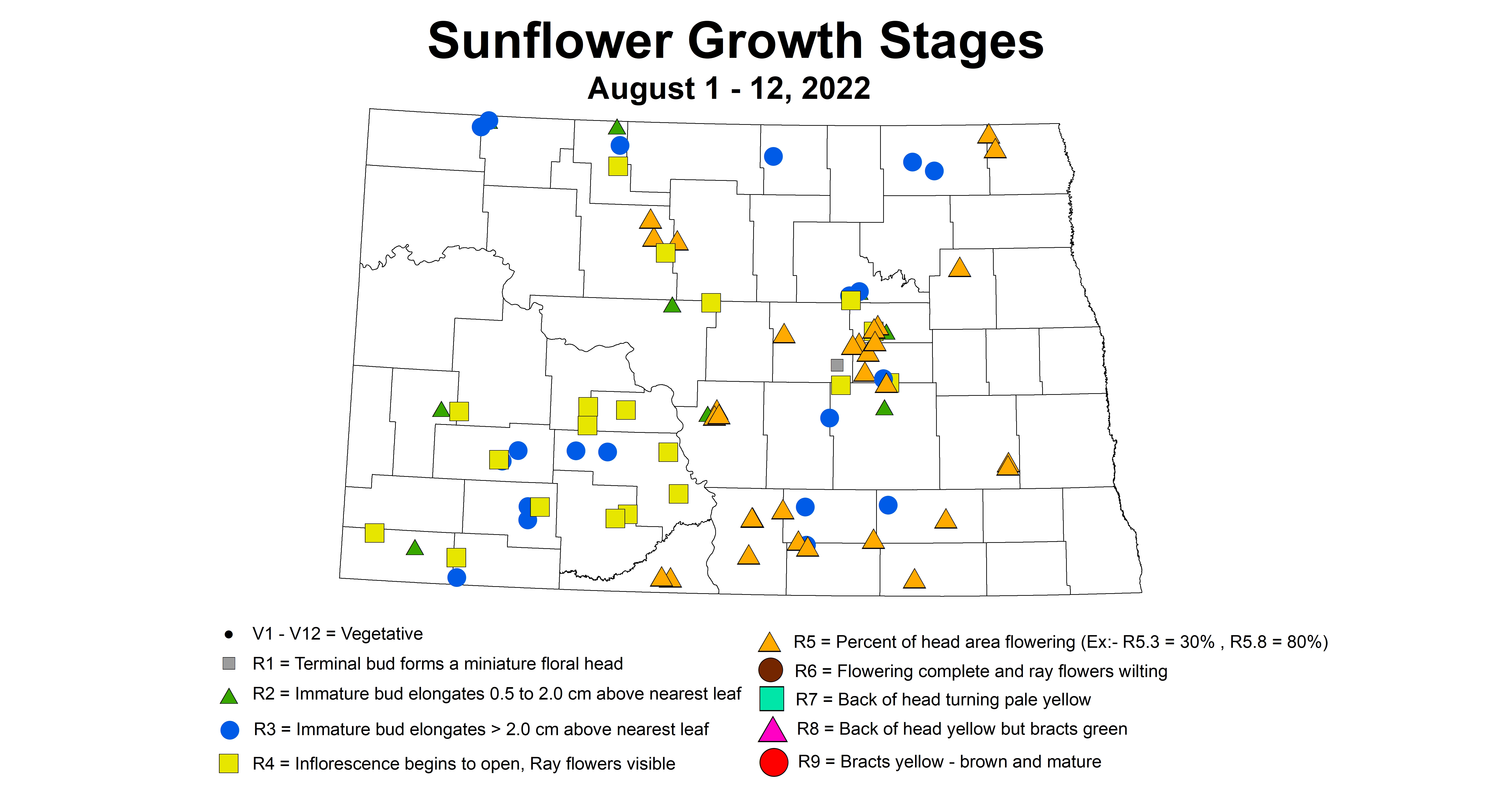 sunflower growth stages 2022 8.1-8.12